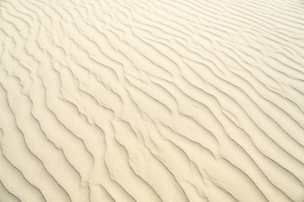 a white sand dune with wavy lines in the sand