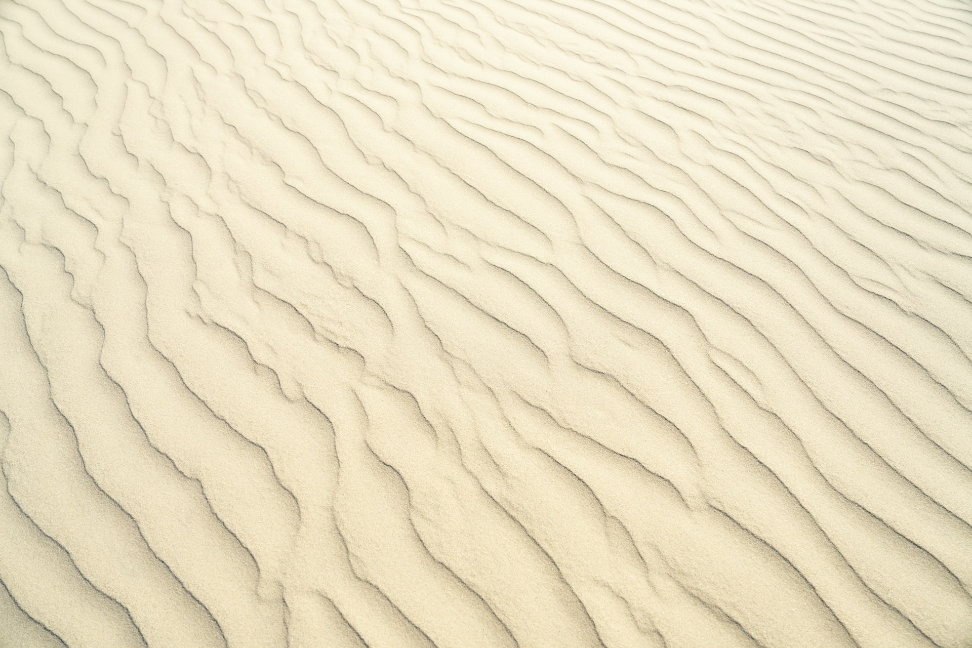 a white sand dune with wavy lines in the sand