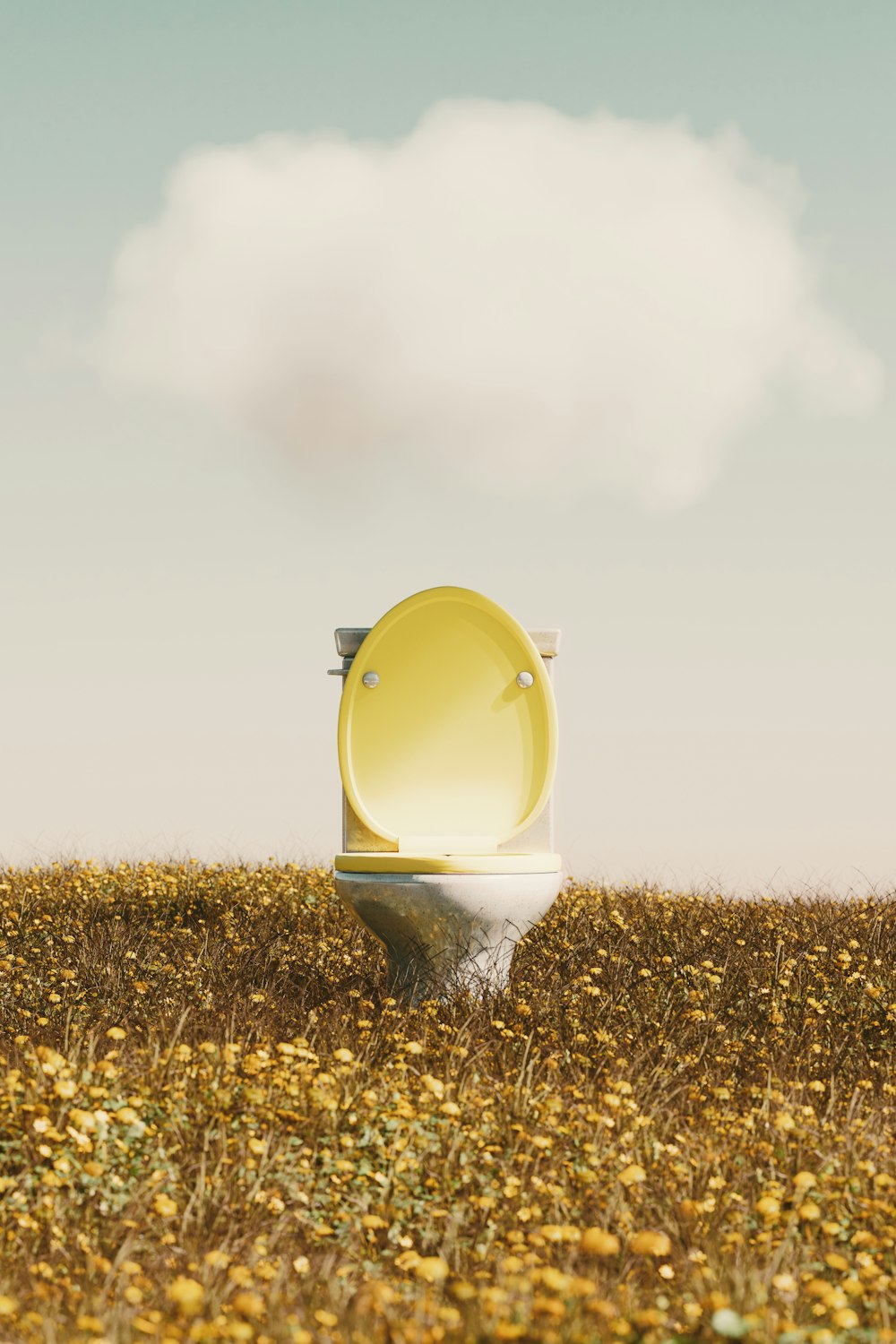 a toilet in a field with a sky background