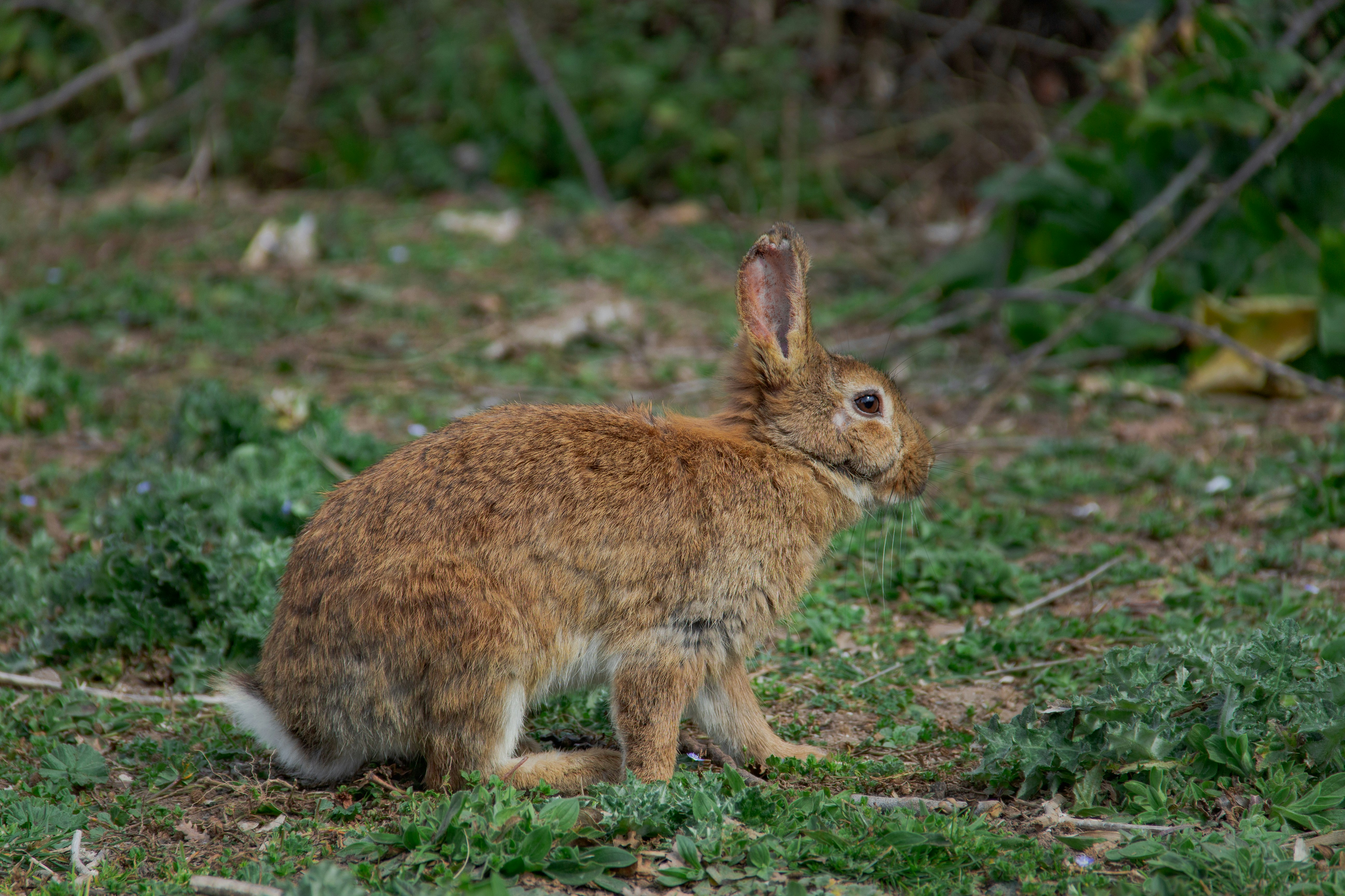 Photo by behindthetmuna