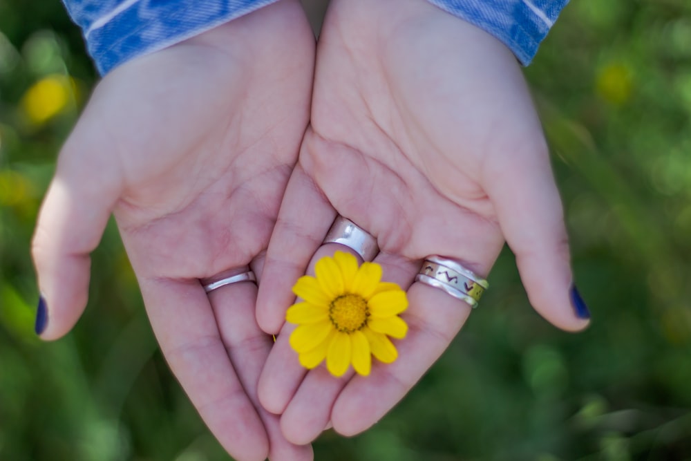 a person holding a yellow flower in their hands