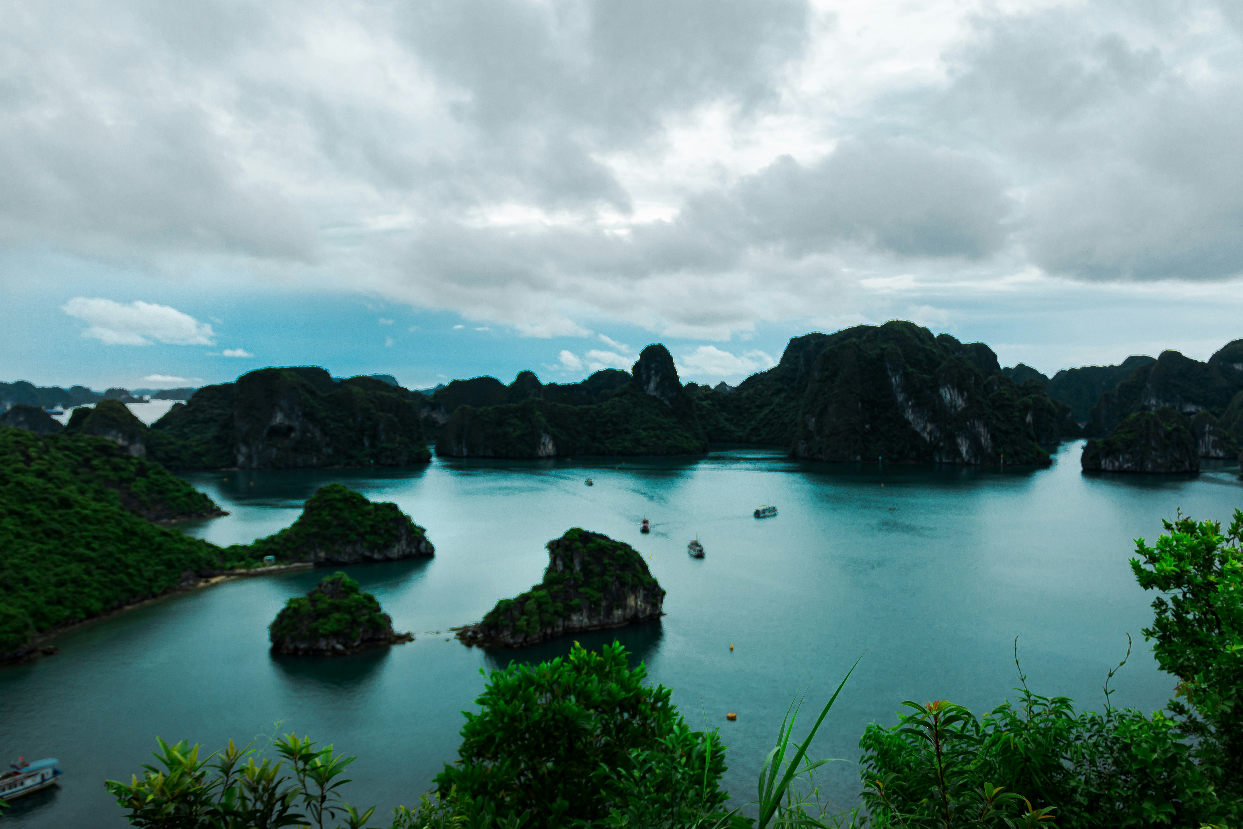 Photo by behindthetmuna