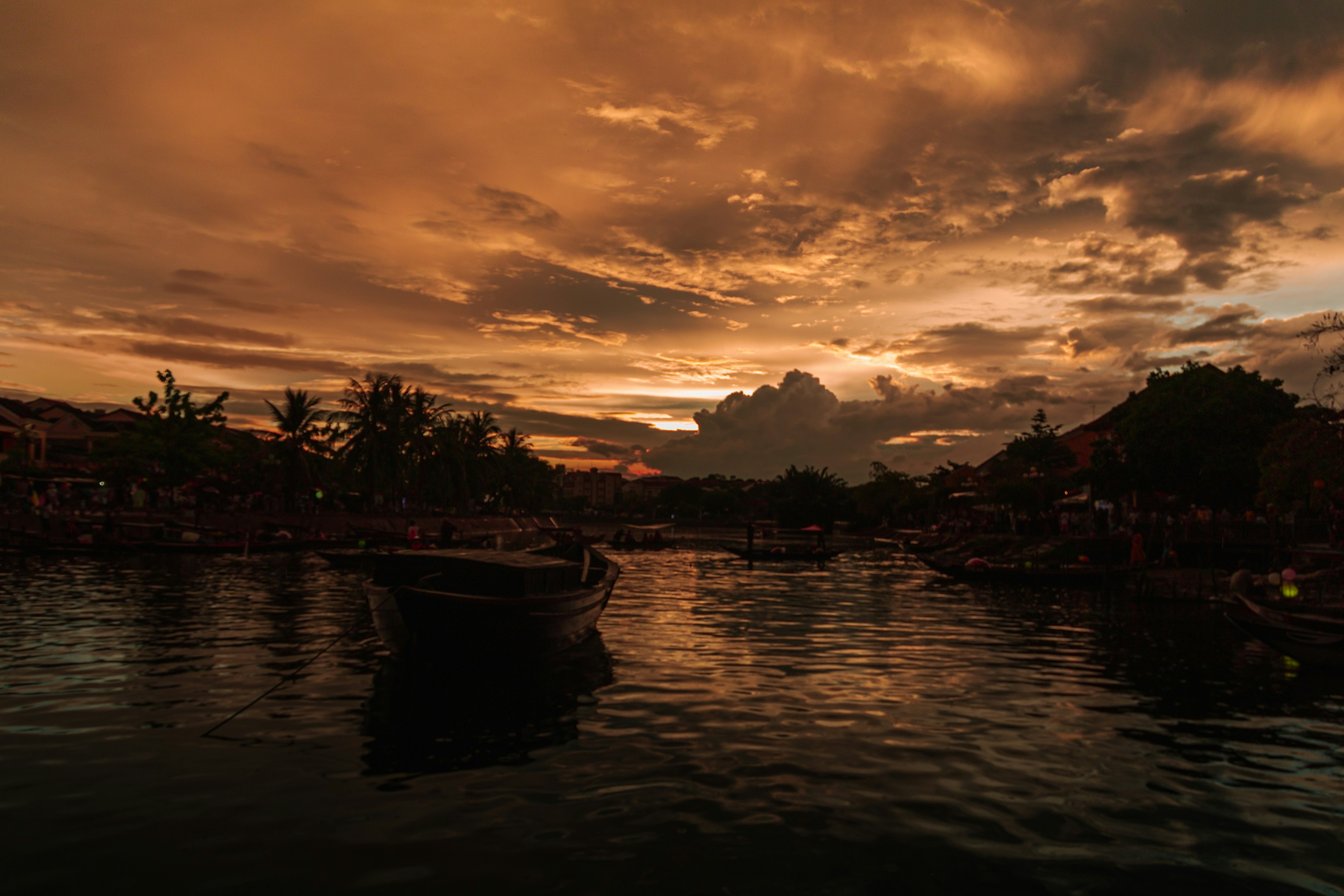 Photo by behindthetmuna