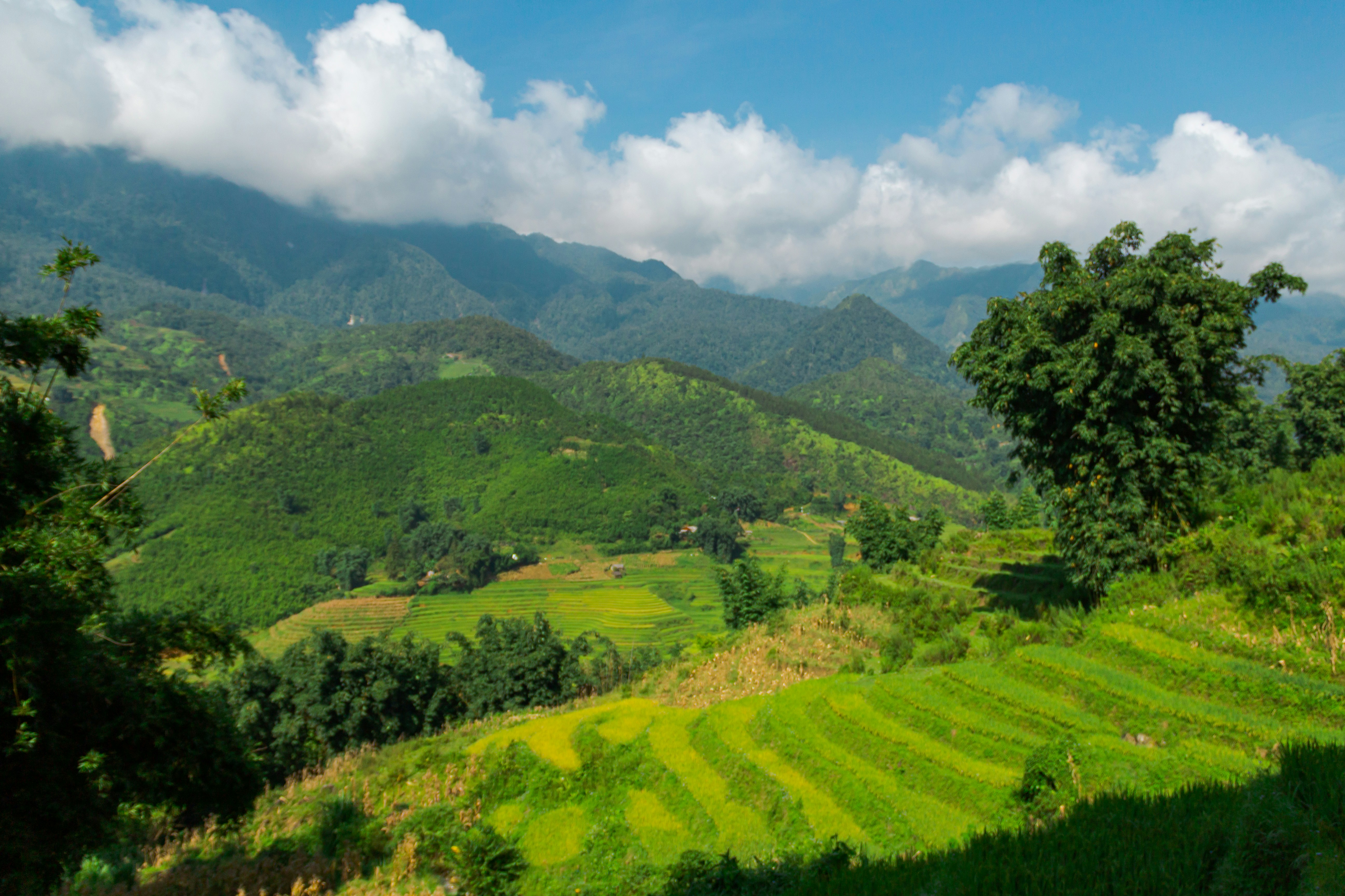 Photo by behindthetmuna