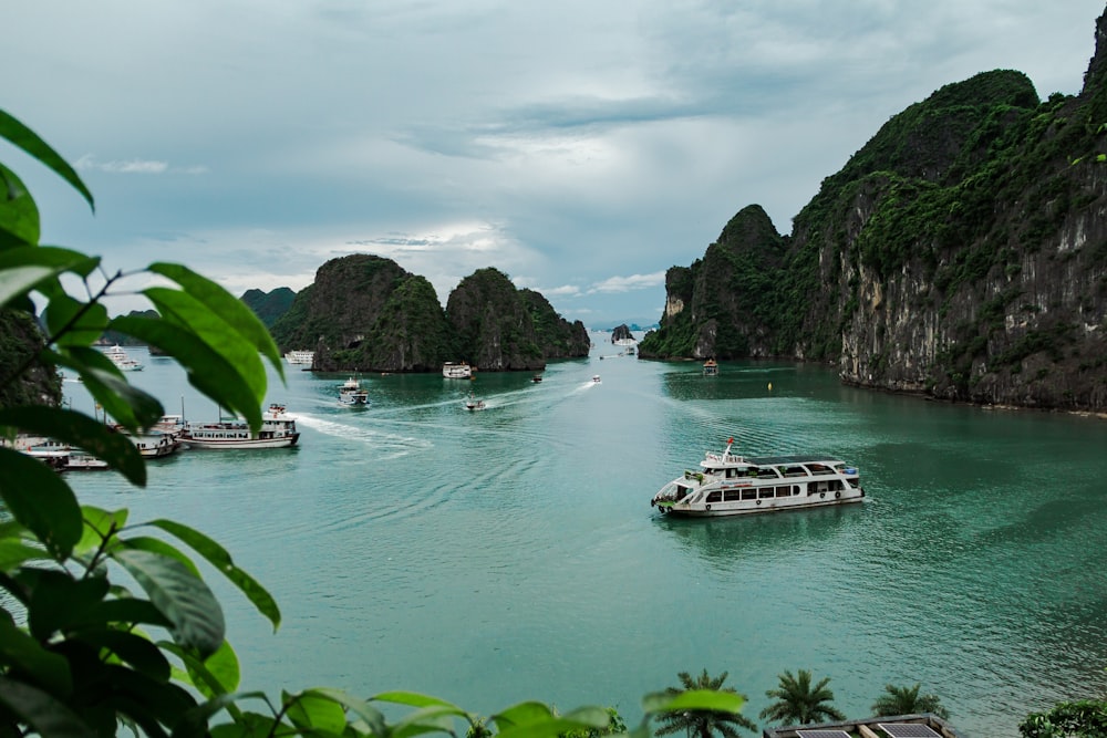 a group of boats floating on top of a body of water