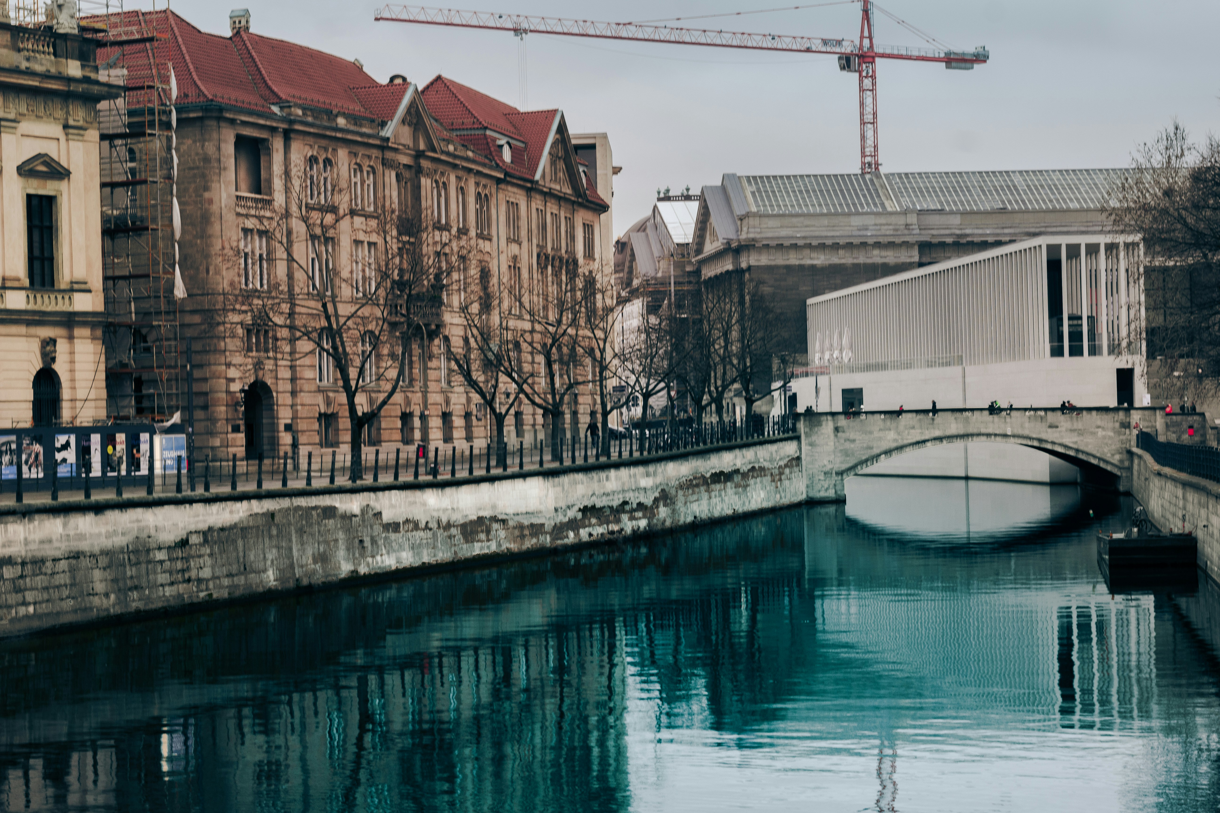 Photo by behindthetmuna