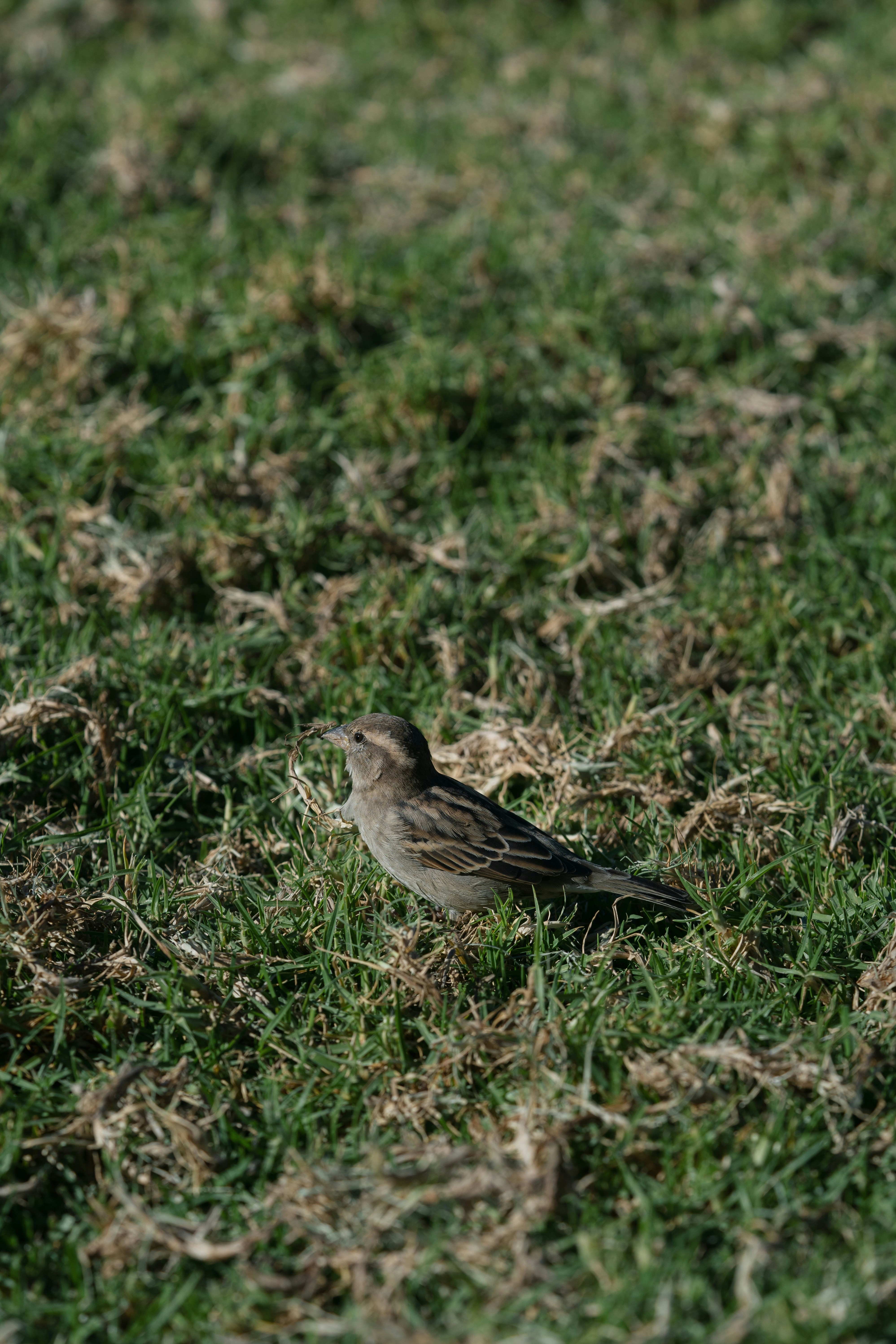 Photo by countingframez