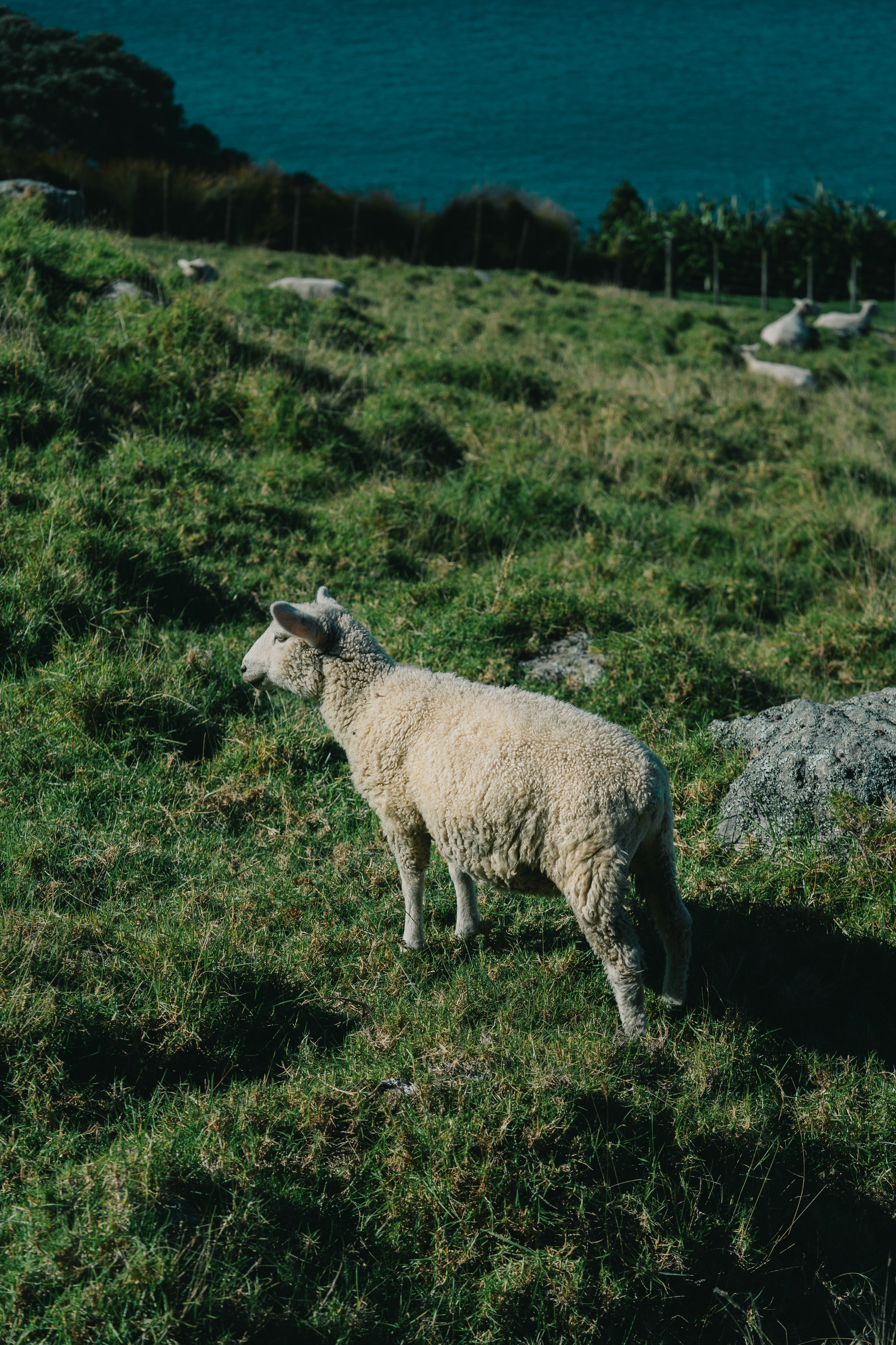 Photo by countingframez