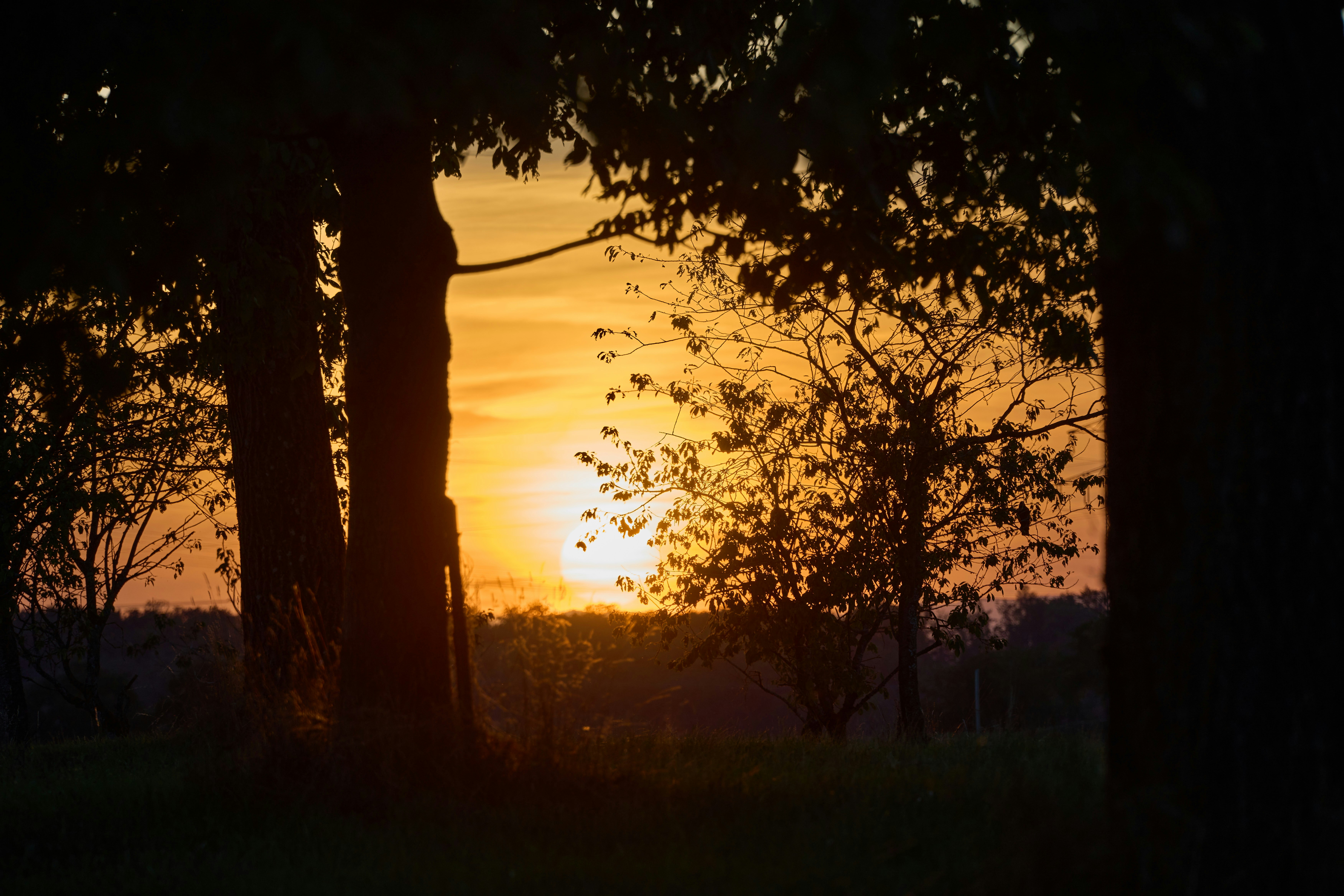 Photo by wolfgang_hasselmann