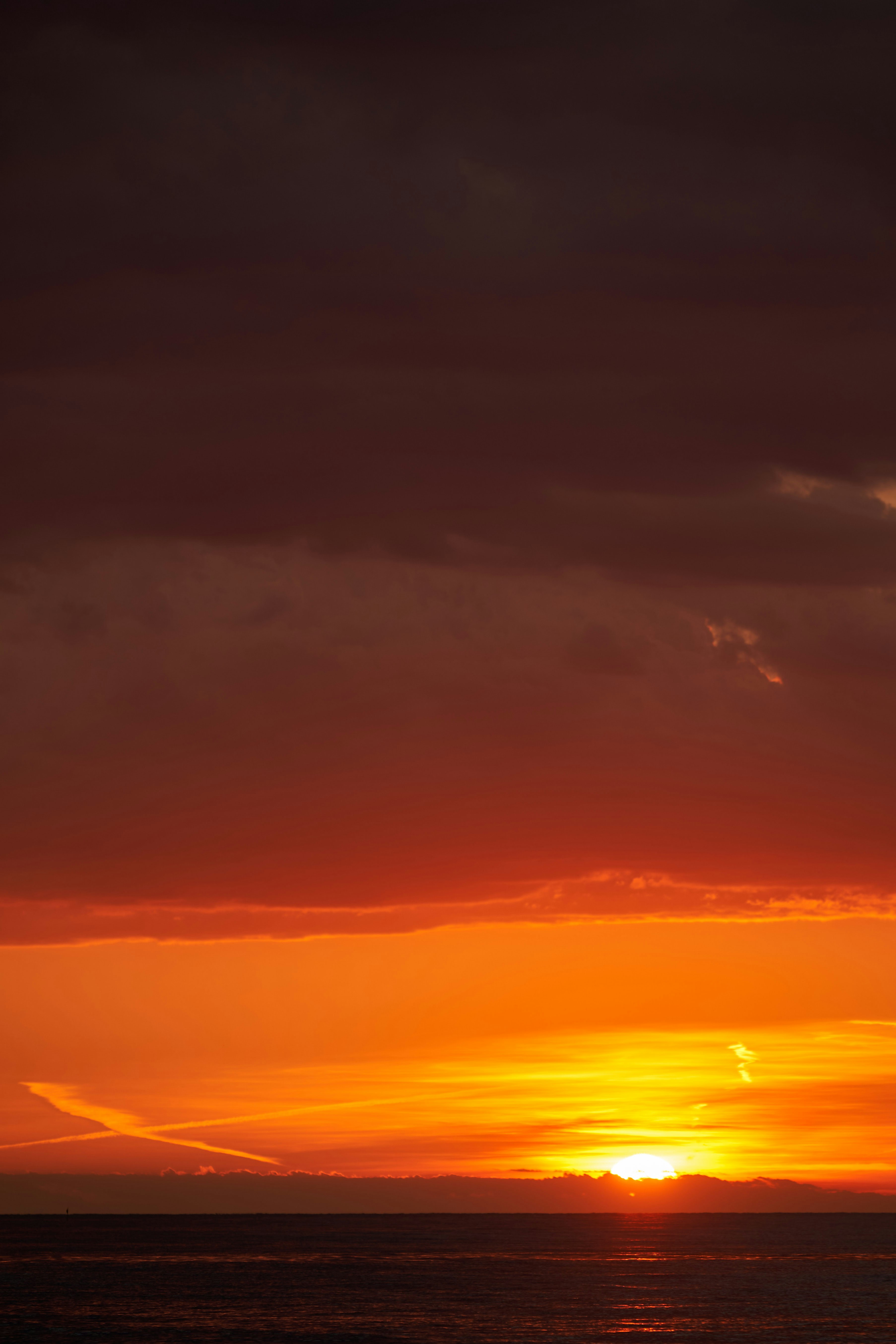 Photo by wolfgang_hasselmann