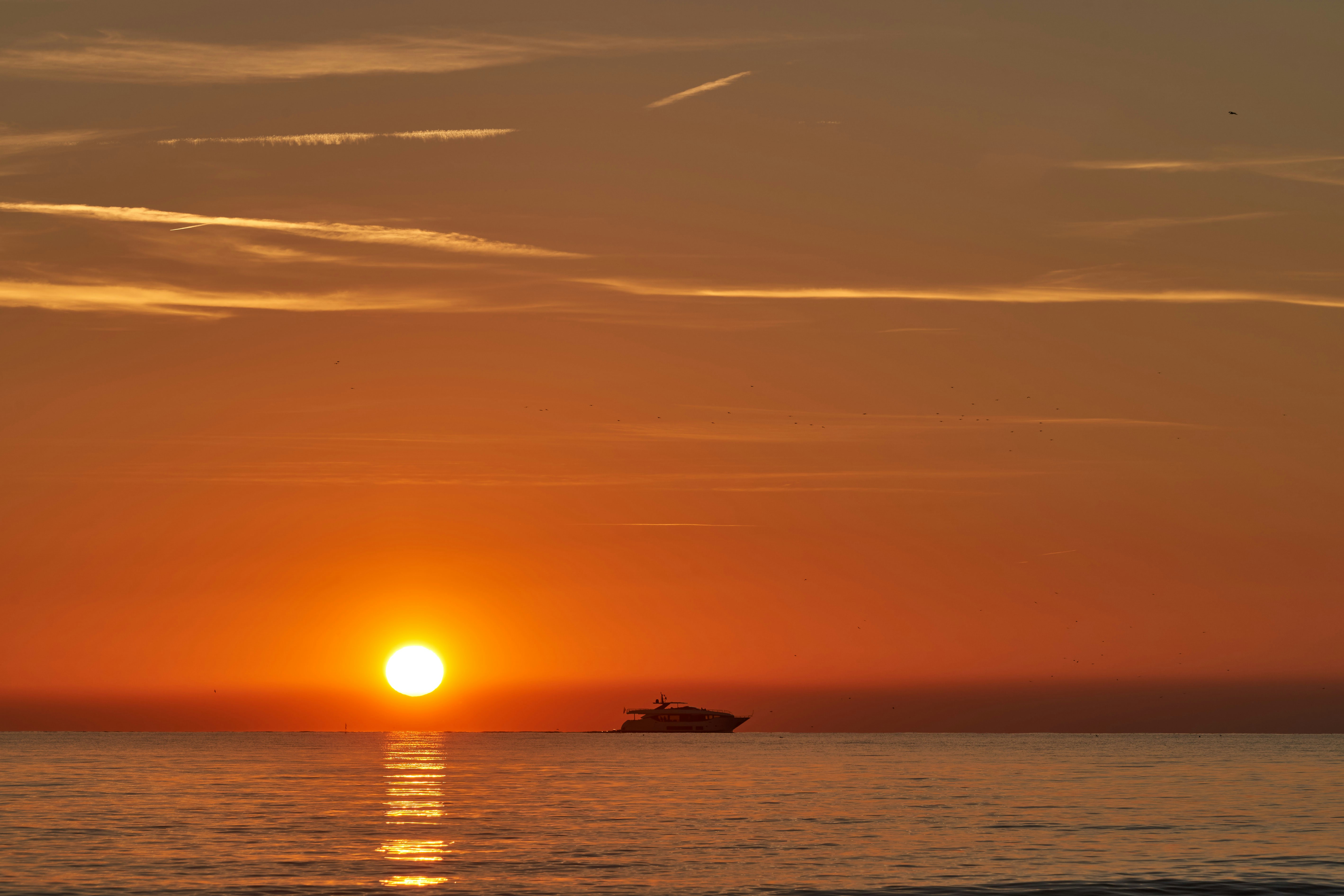 Photo by wolfgang_hasselmann