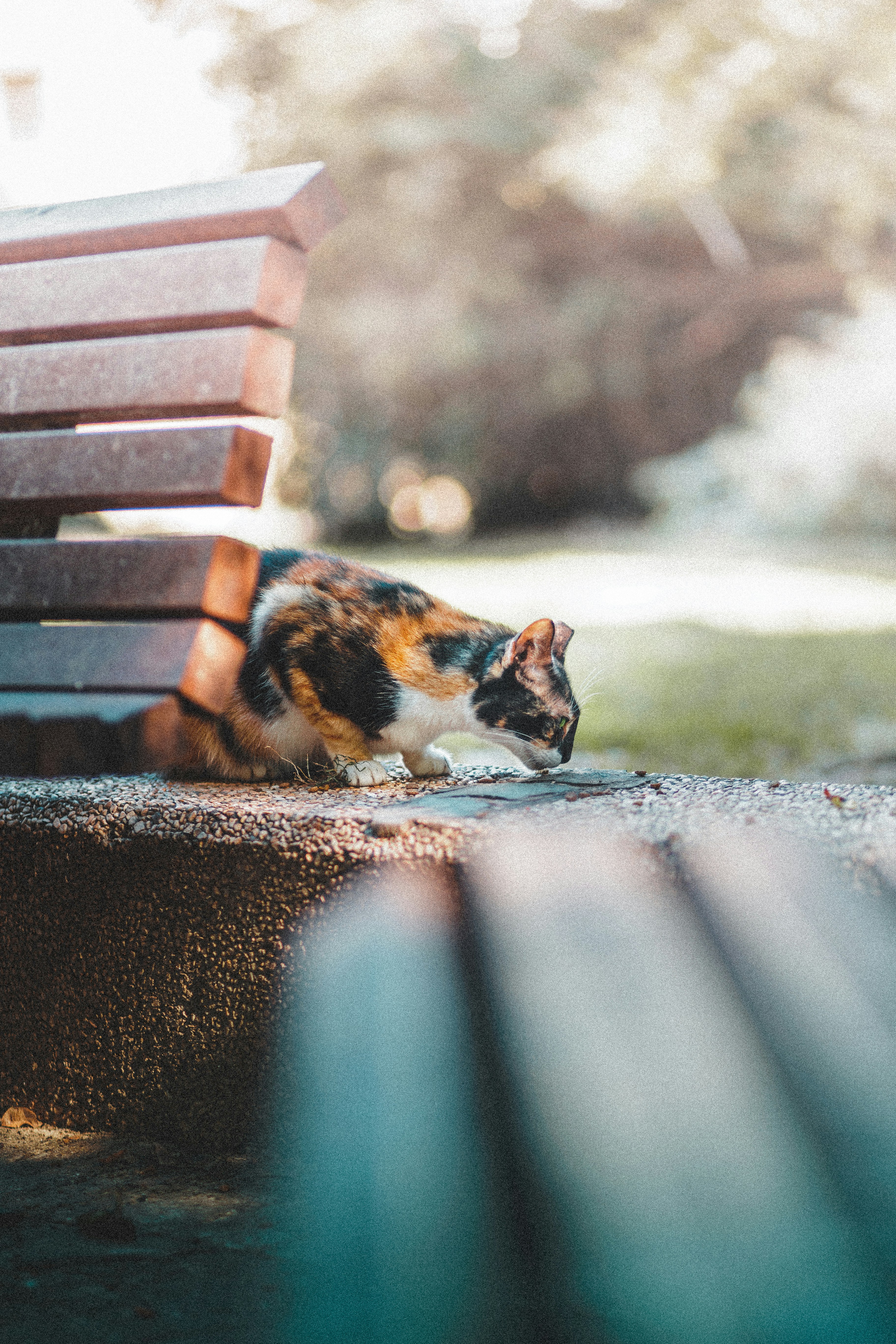 Photo by behindthetmuna