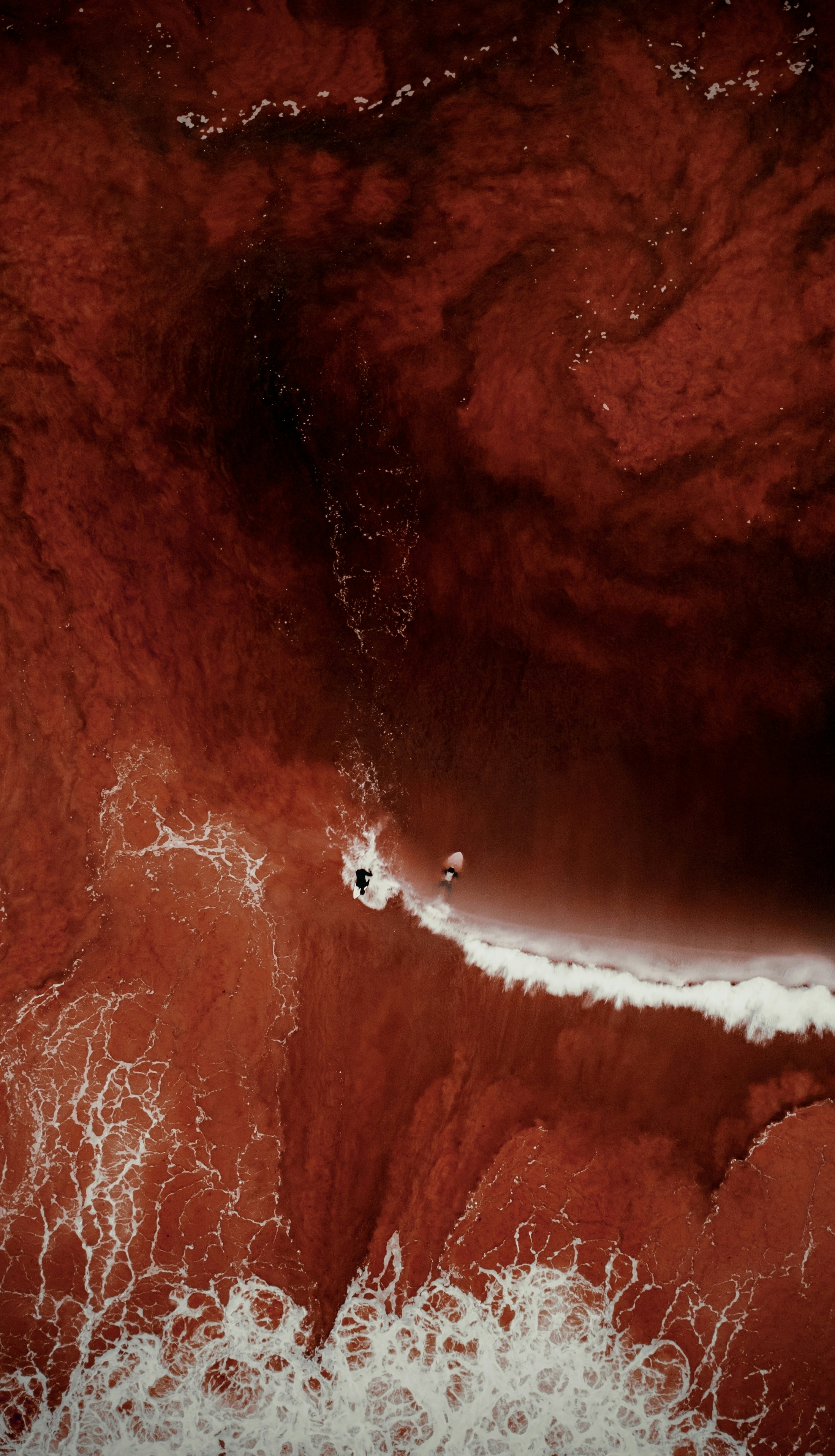 Photo by joamferrera