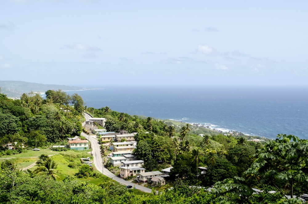 a lush green hillside next to the ocean