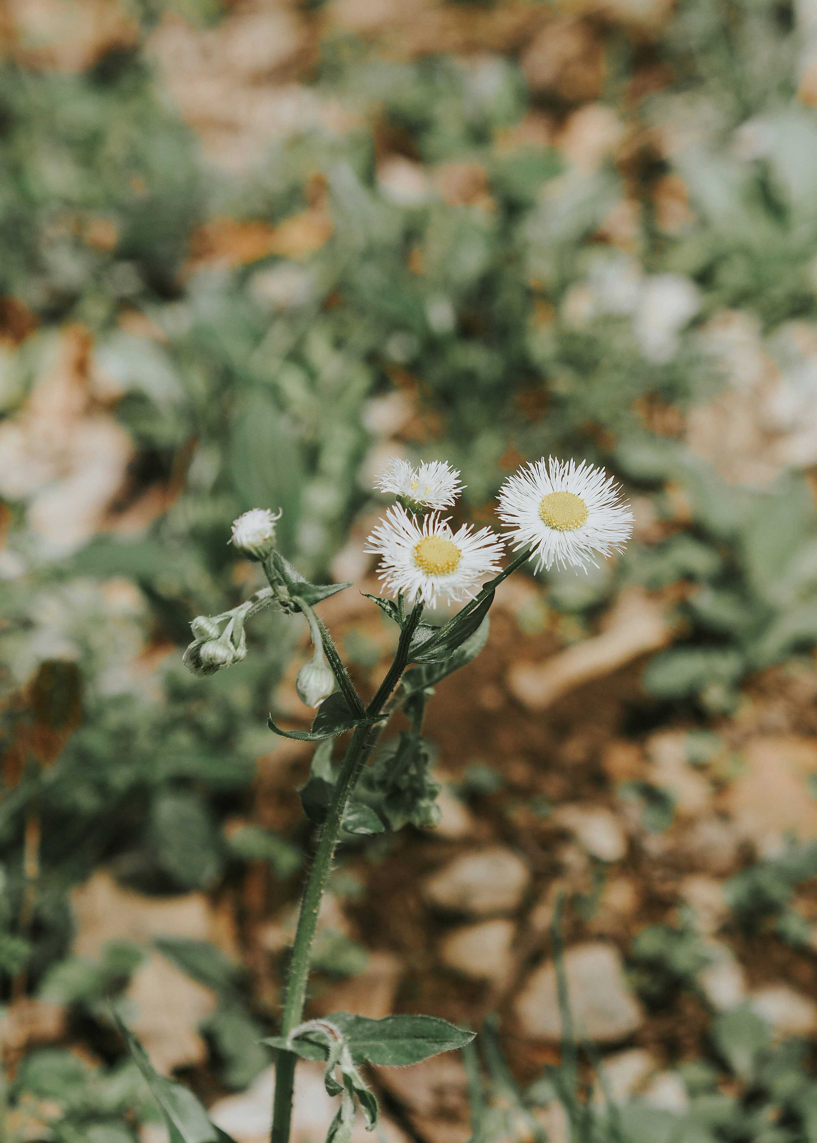 Photo by fieldworkframes