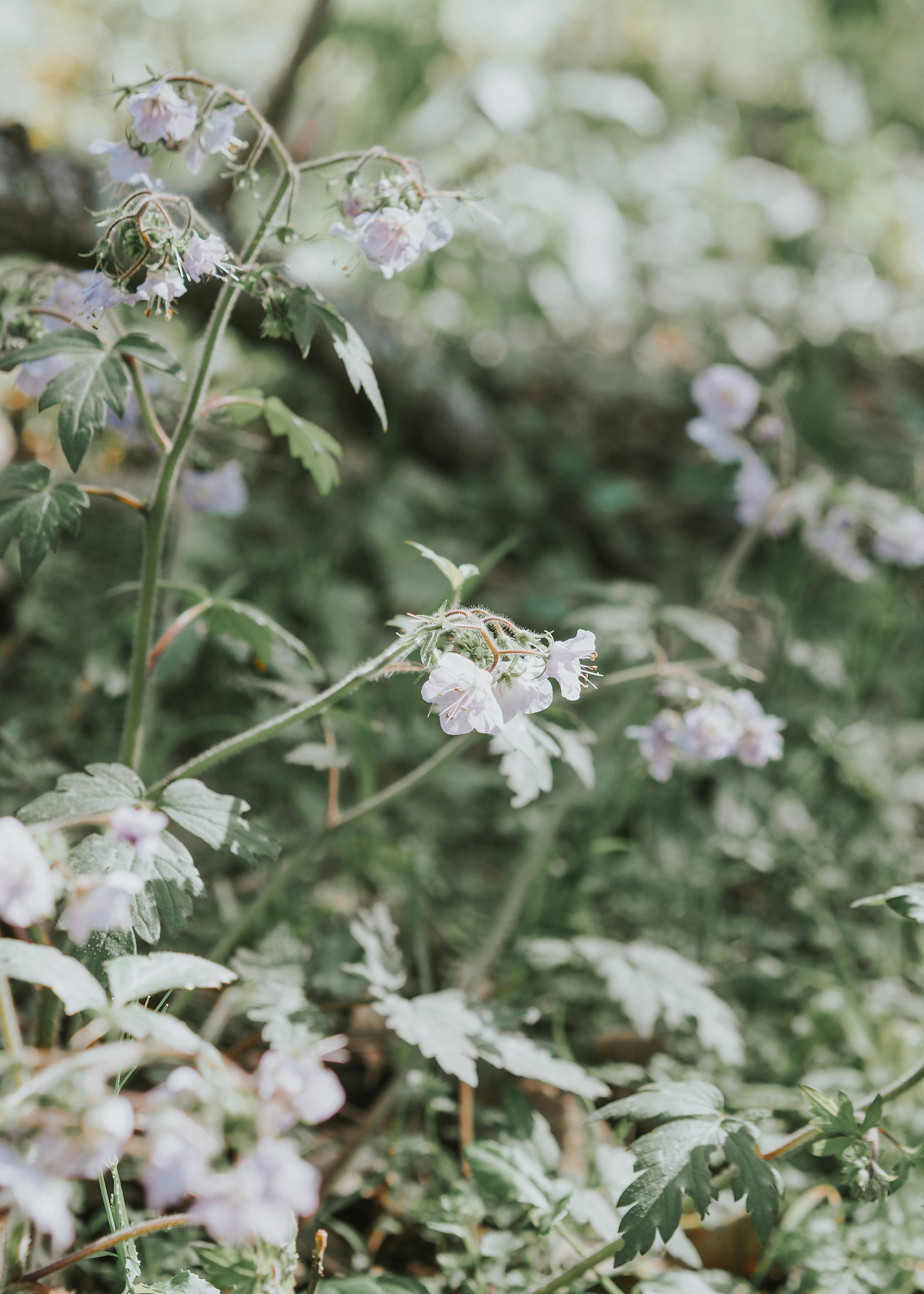 Photo by fieldworkframes