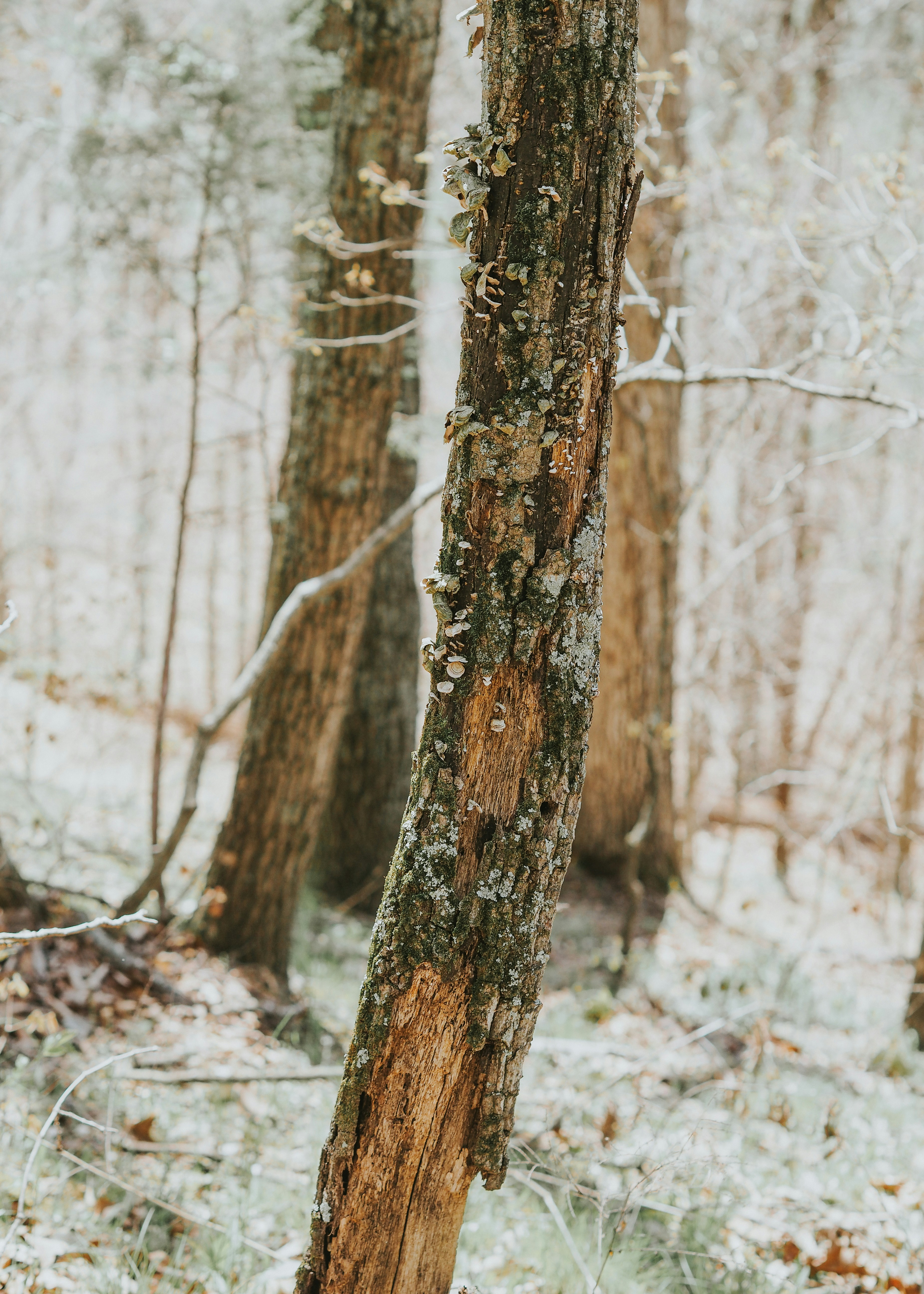 Photo by fieldworkframes