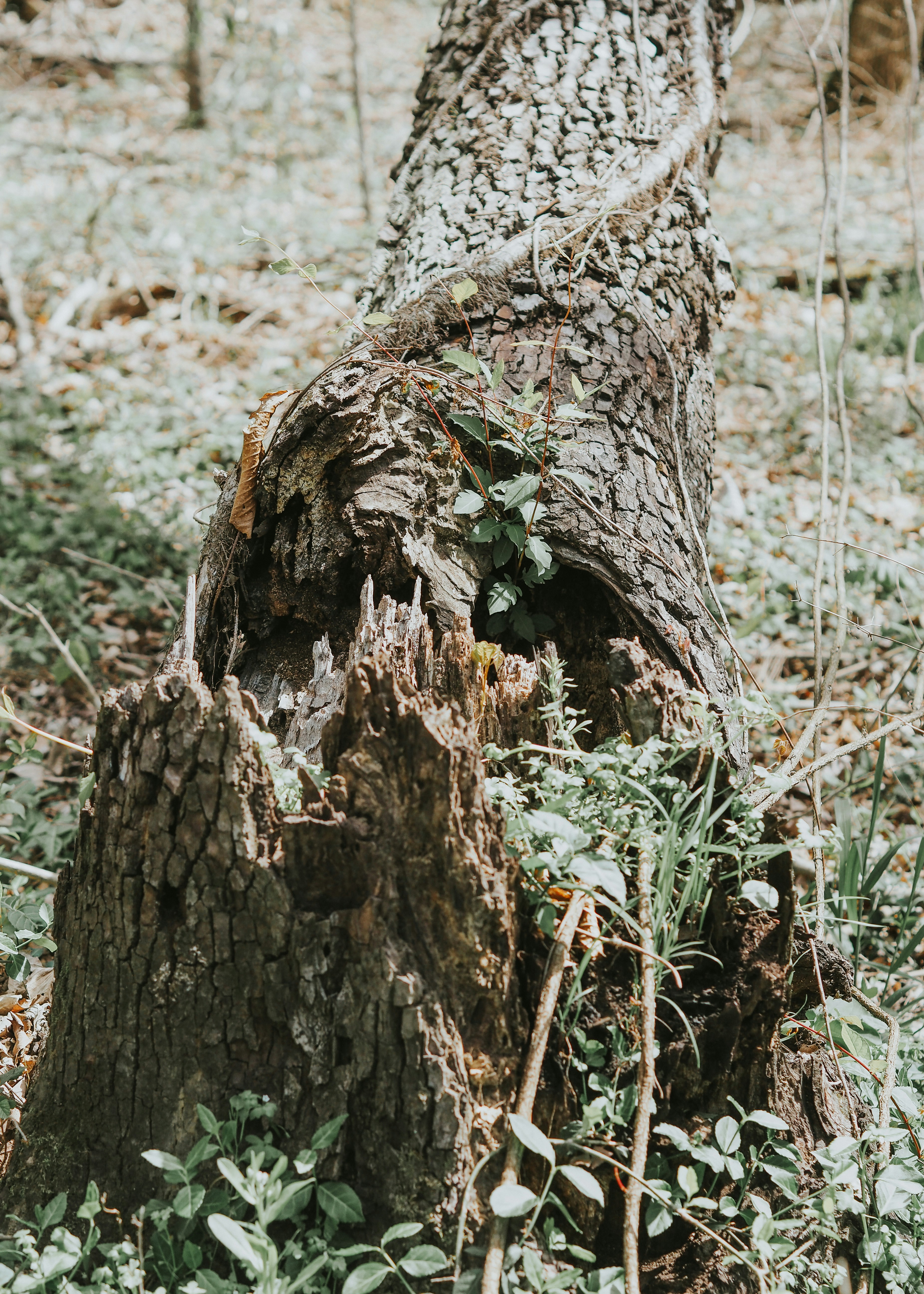 Photo by fieldworkframes