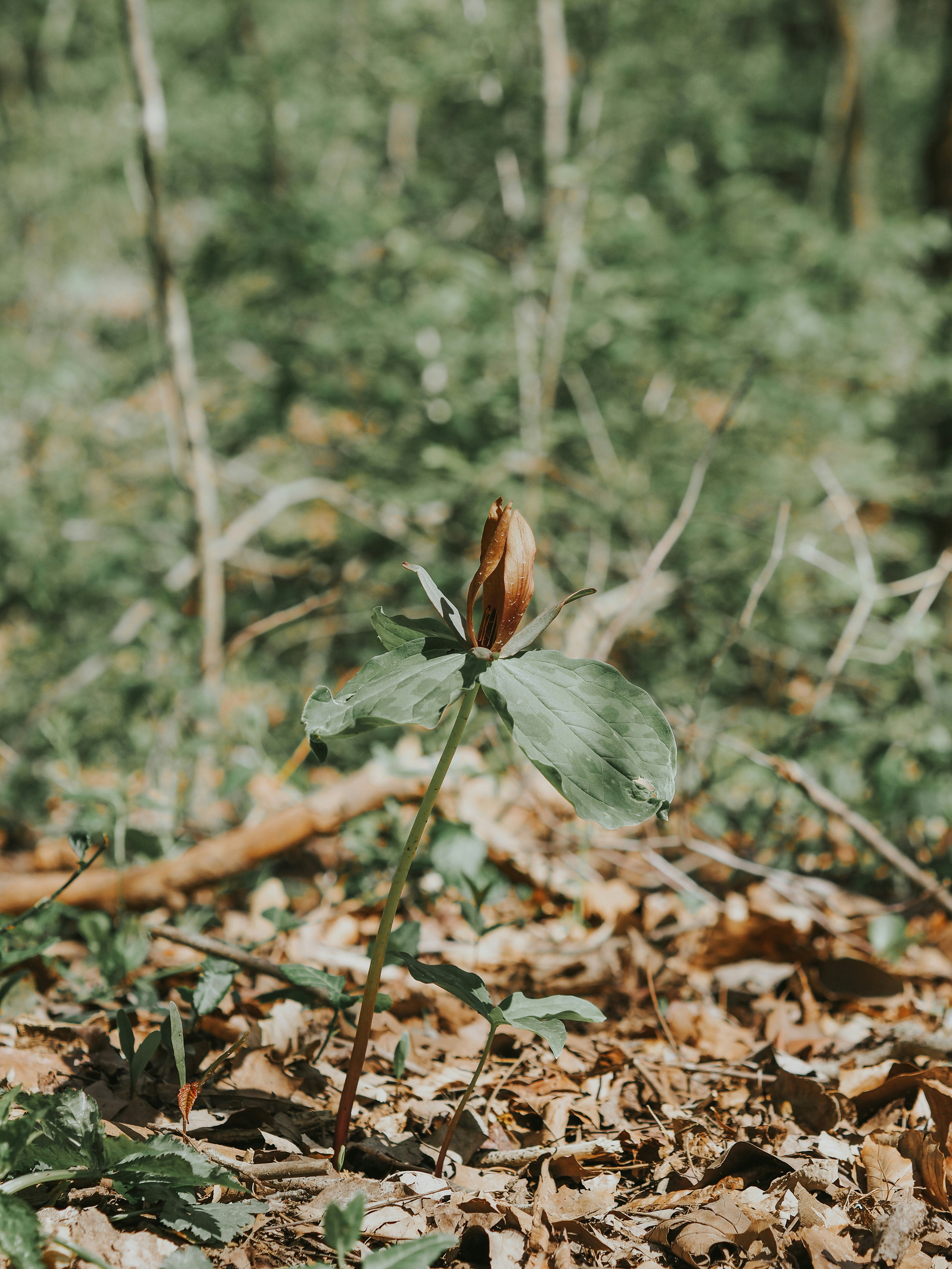 Photo by fieldworkframes