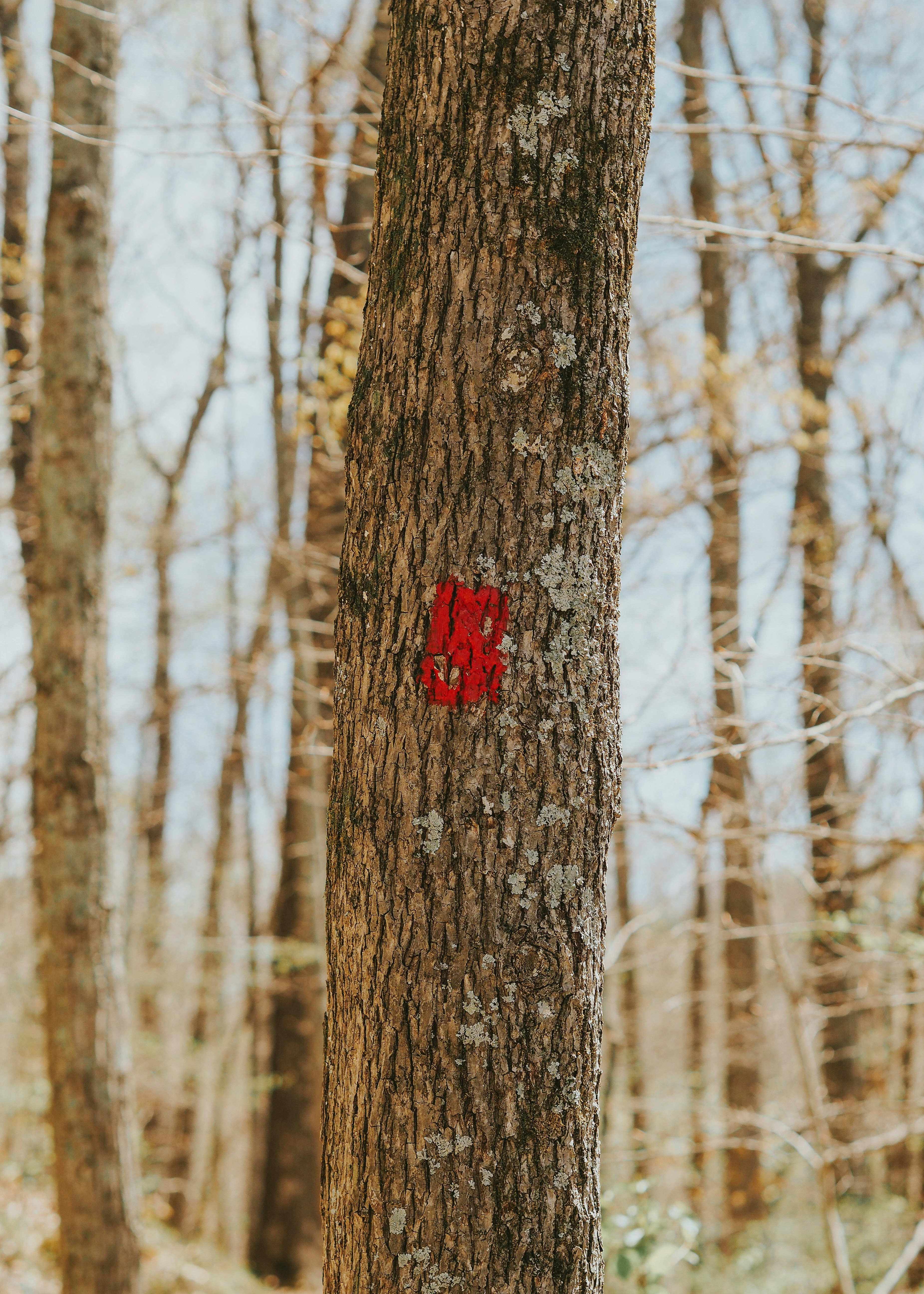 Photo by fieldworkframes