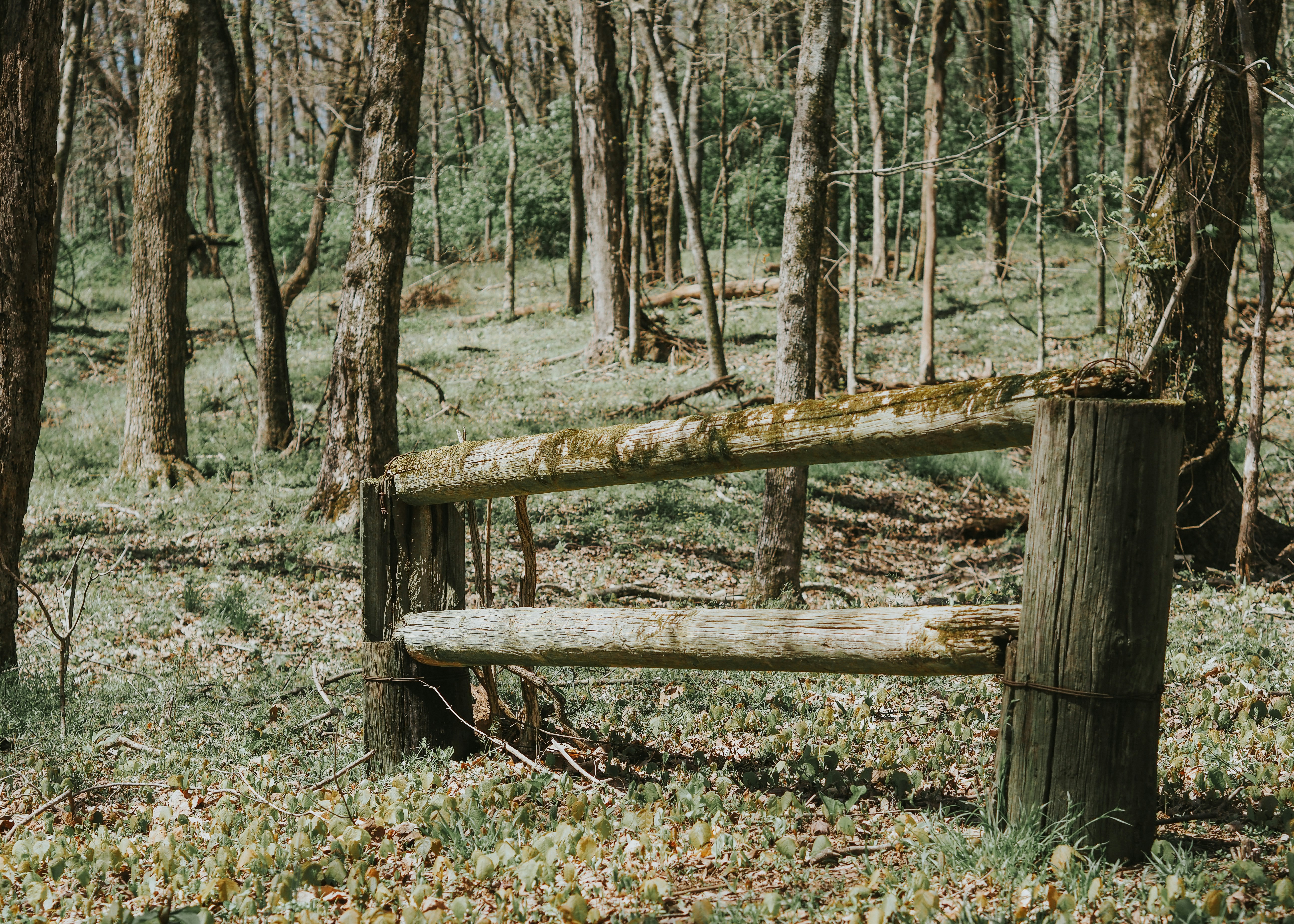 Photo by fieldworkframes