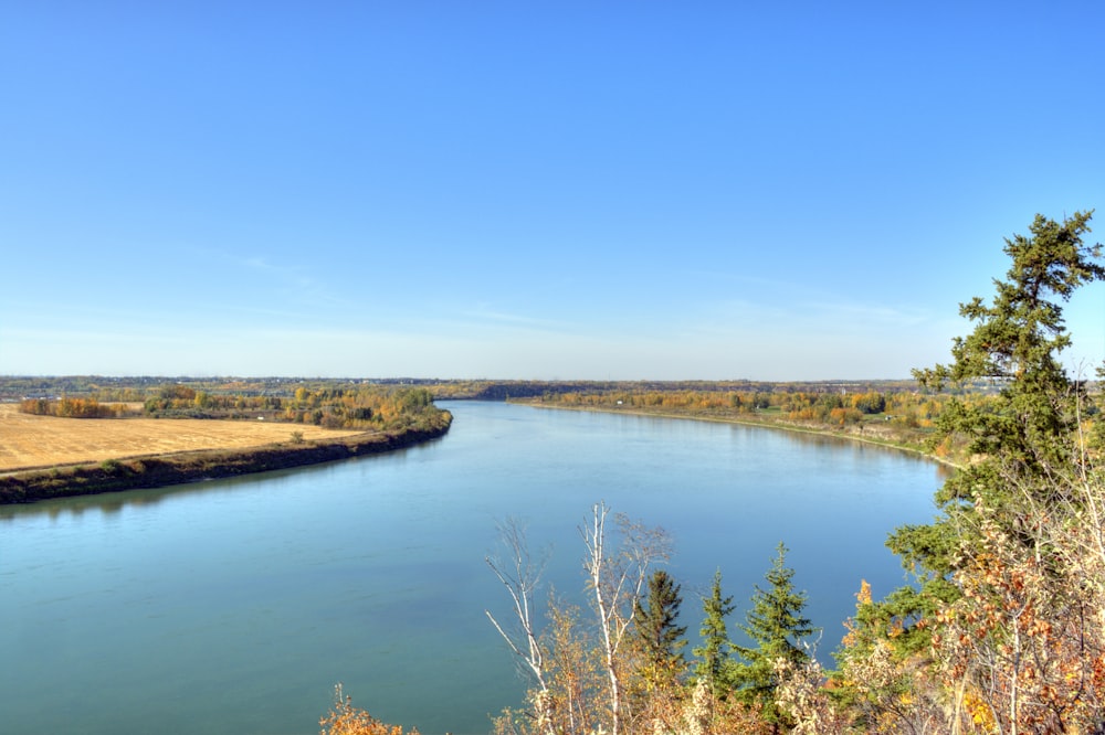 a body of water surrounded by trees and grass