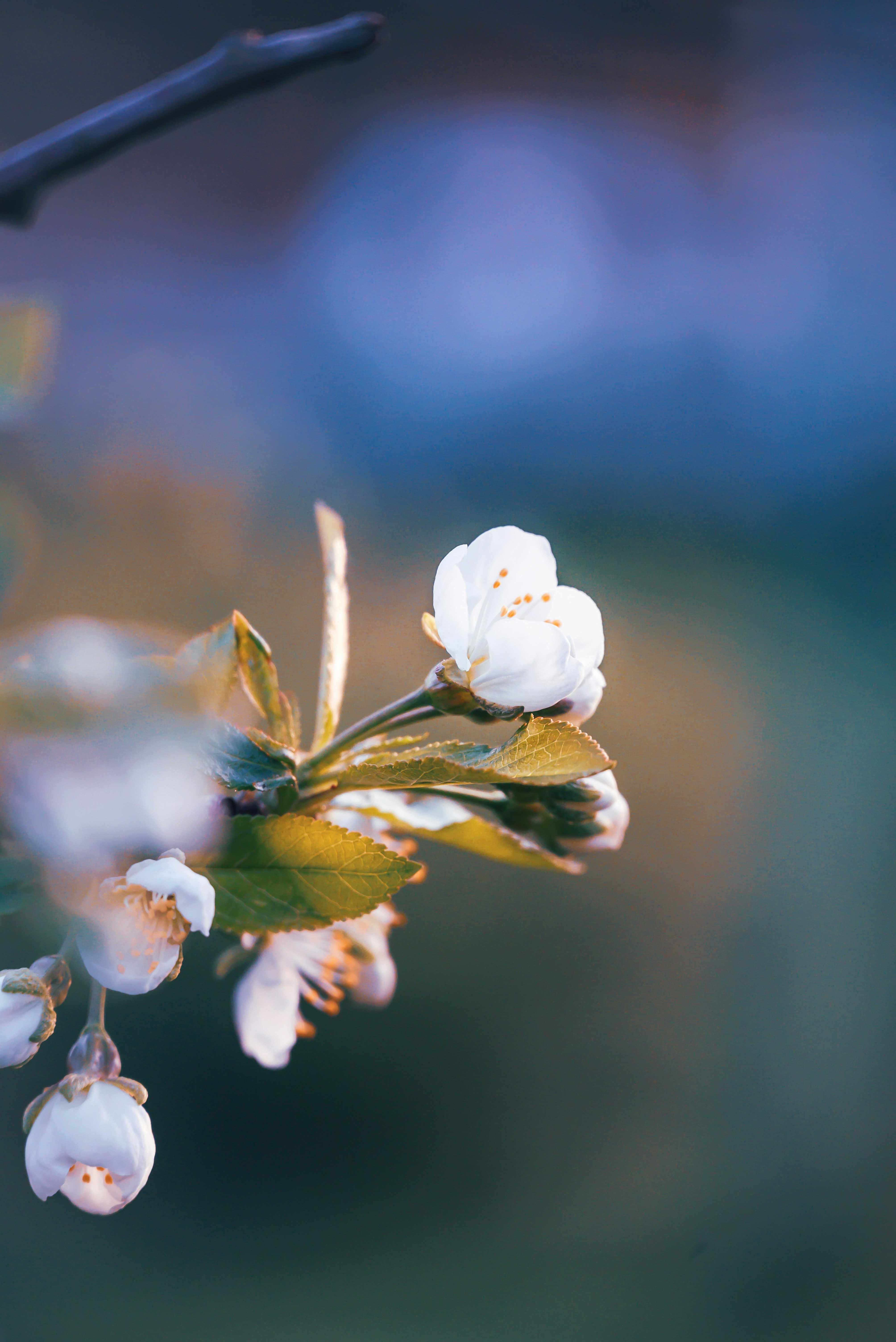 Photo by agataciosek