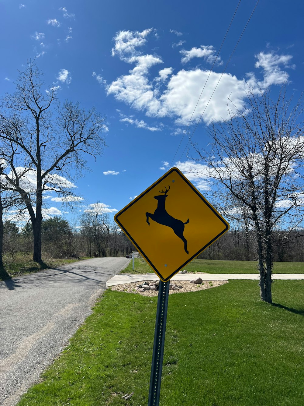 a yellow deer crossing sign sitting on the side of a road