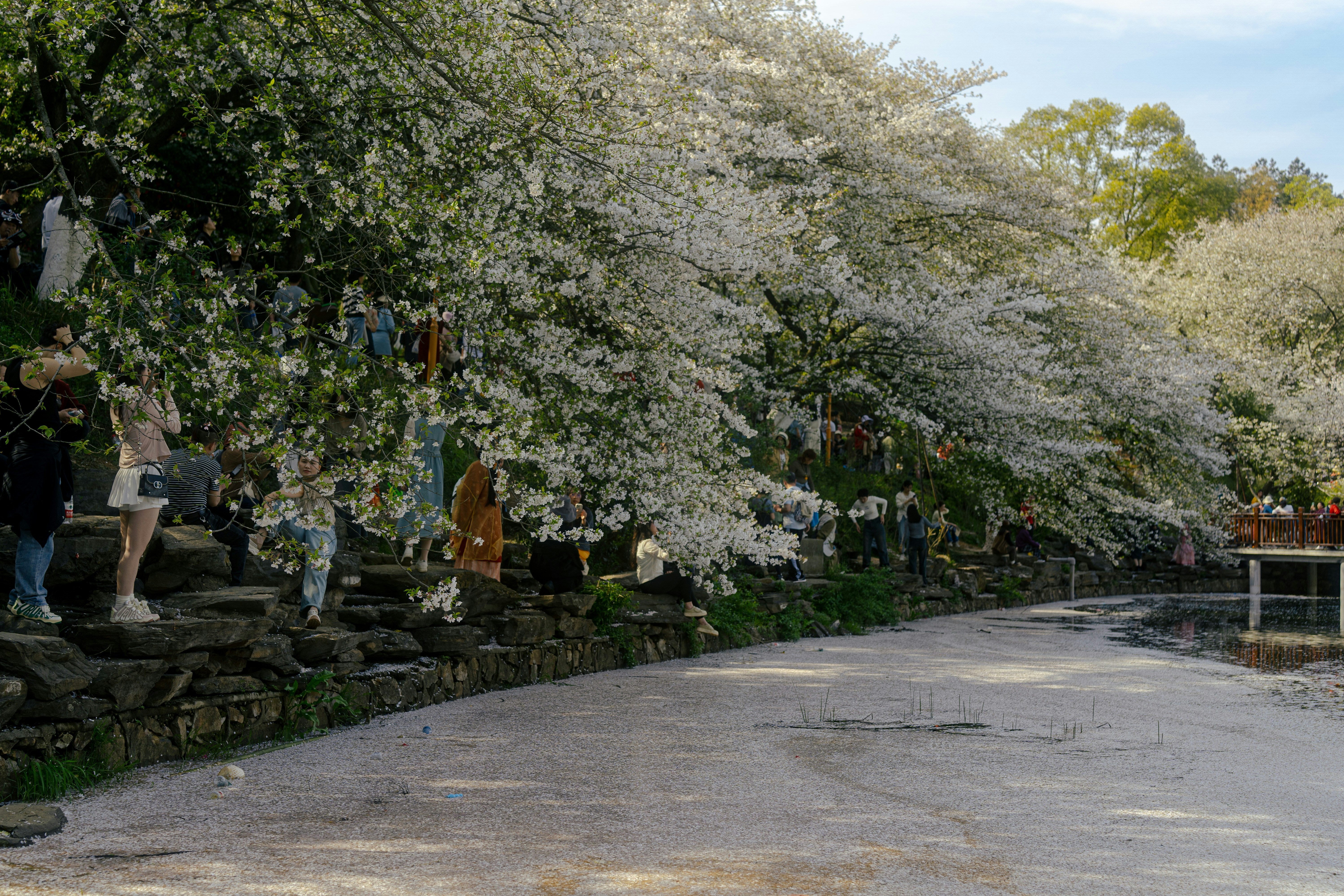 Photo by xiexianghua