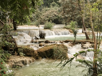 a small waterfall in the middle of a forest