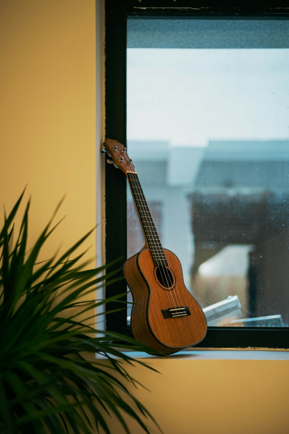 a guitar sitting on a window sill next to a potted plant