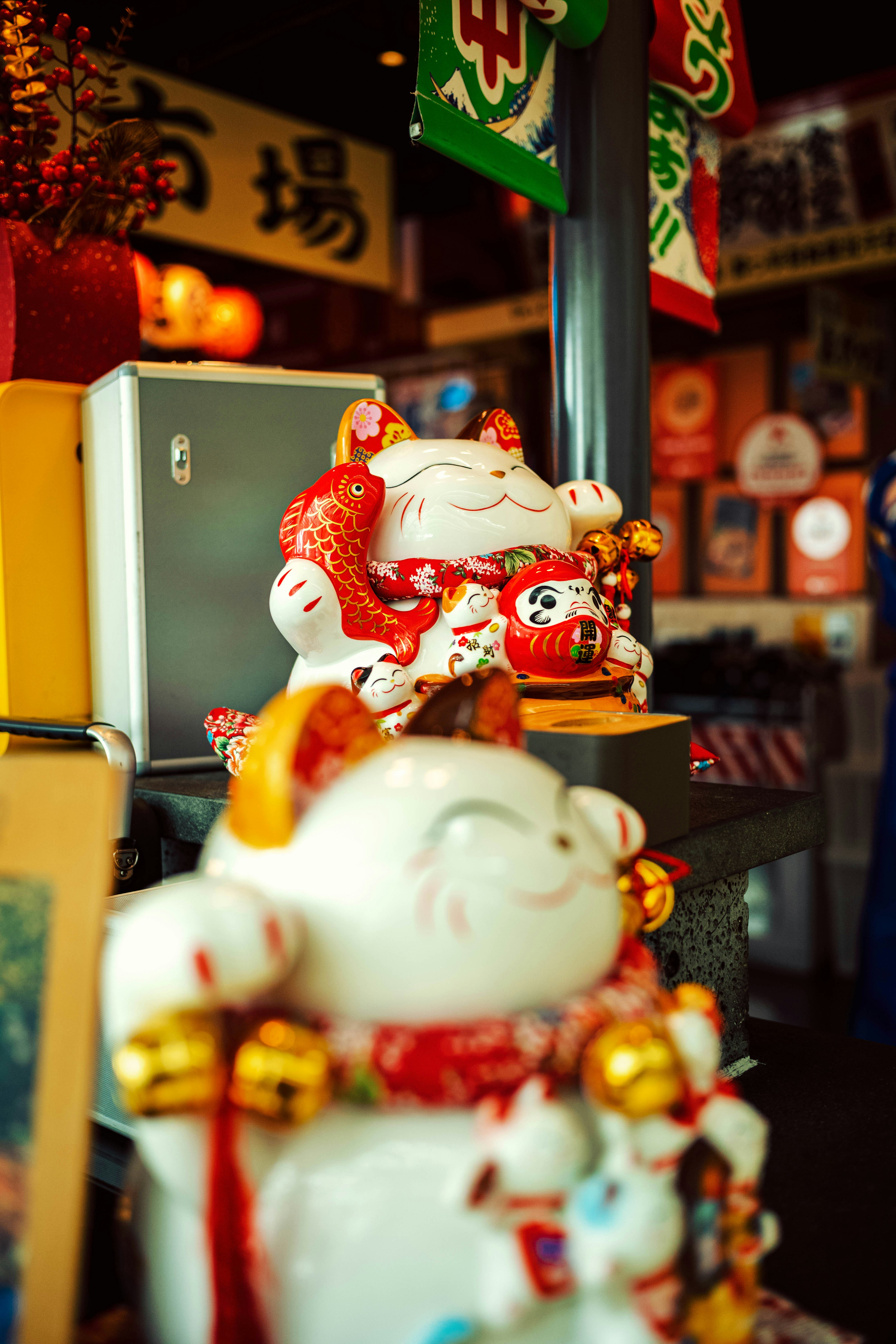 Photo by tommaomaoer