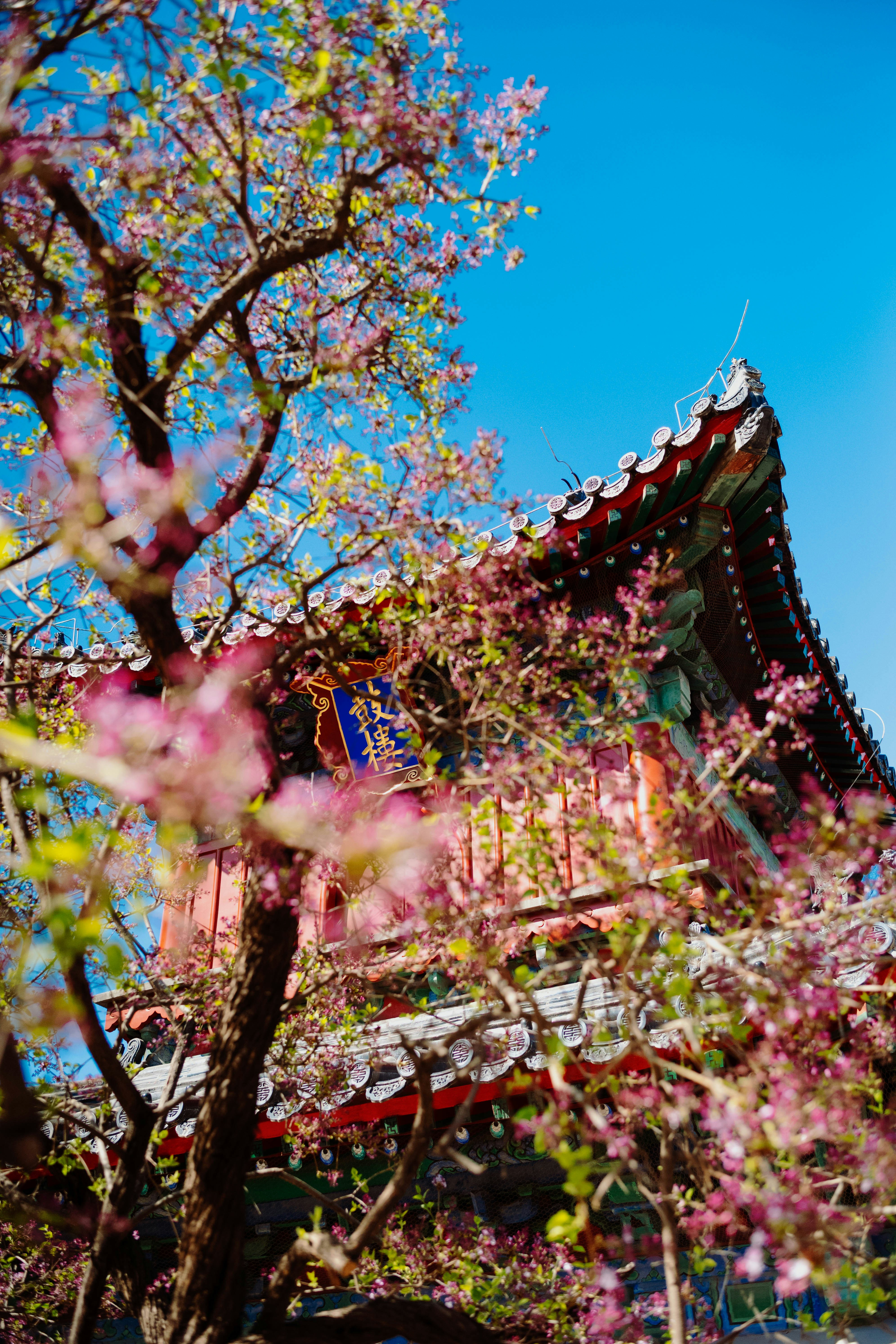 Photo by tommaomaoer