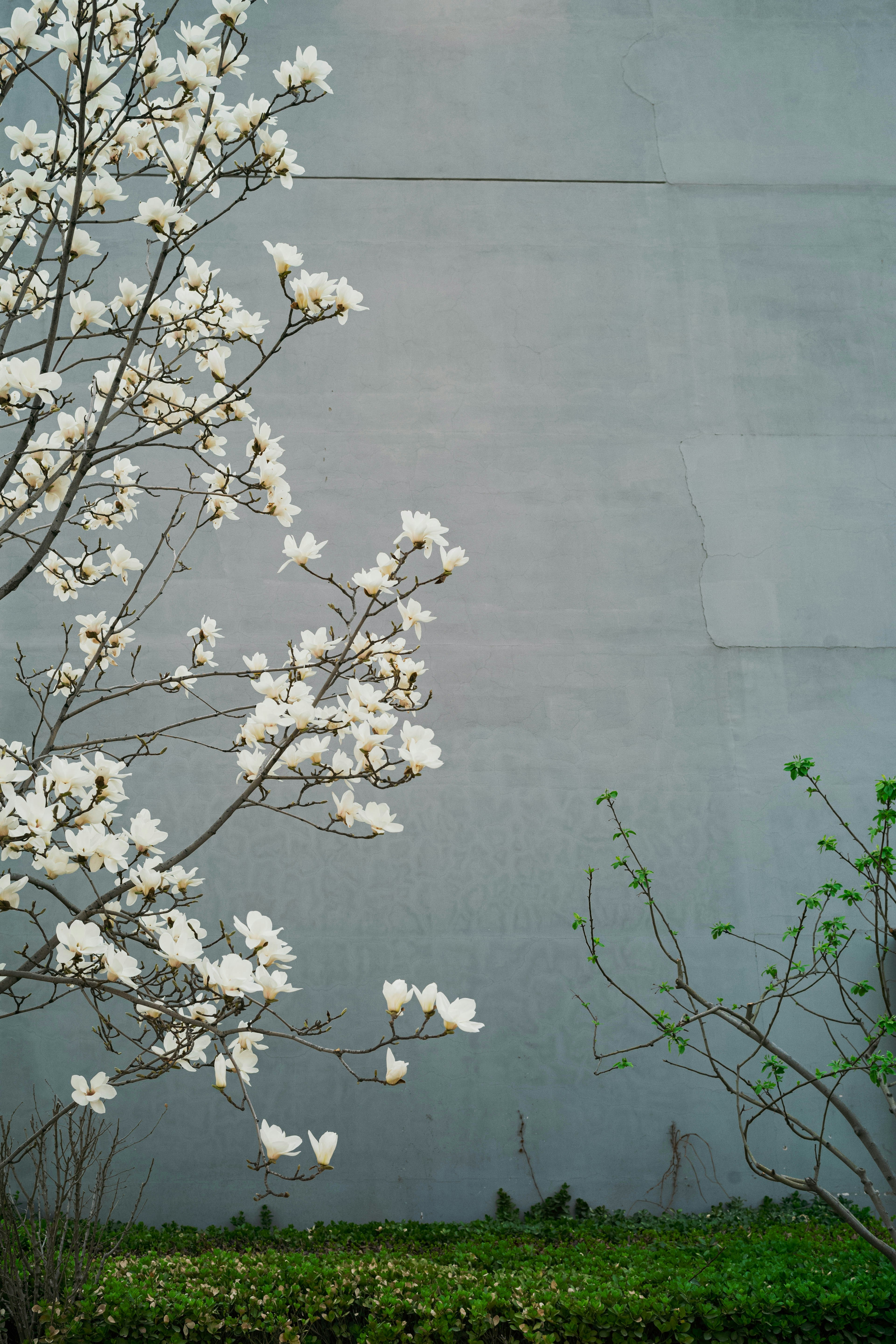 Photo by tommaomaoer