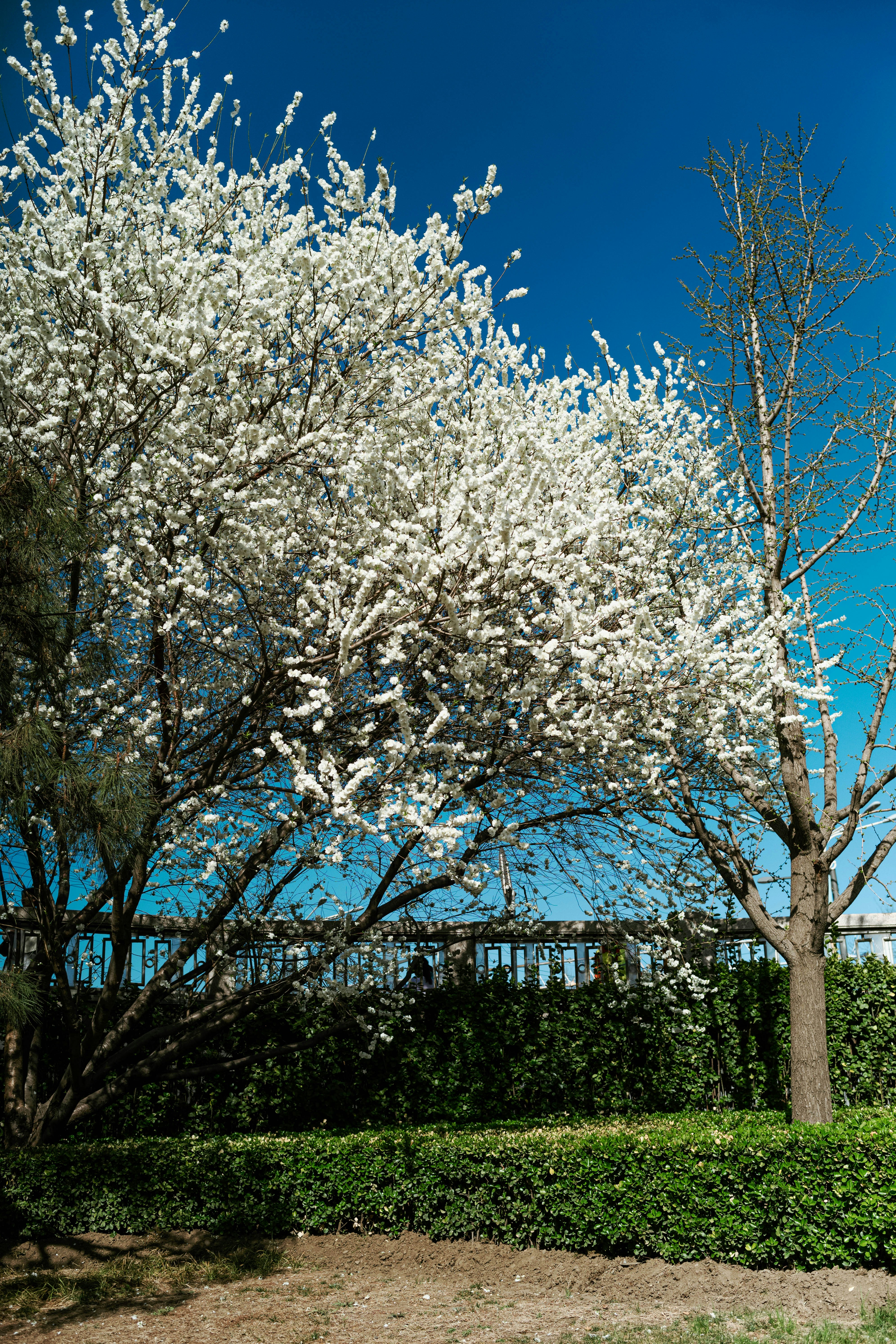 Photo by tommaomaoer