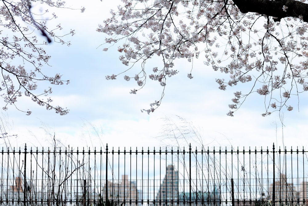 a fence with a tree in the foreground and a city in the background