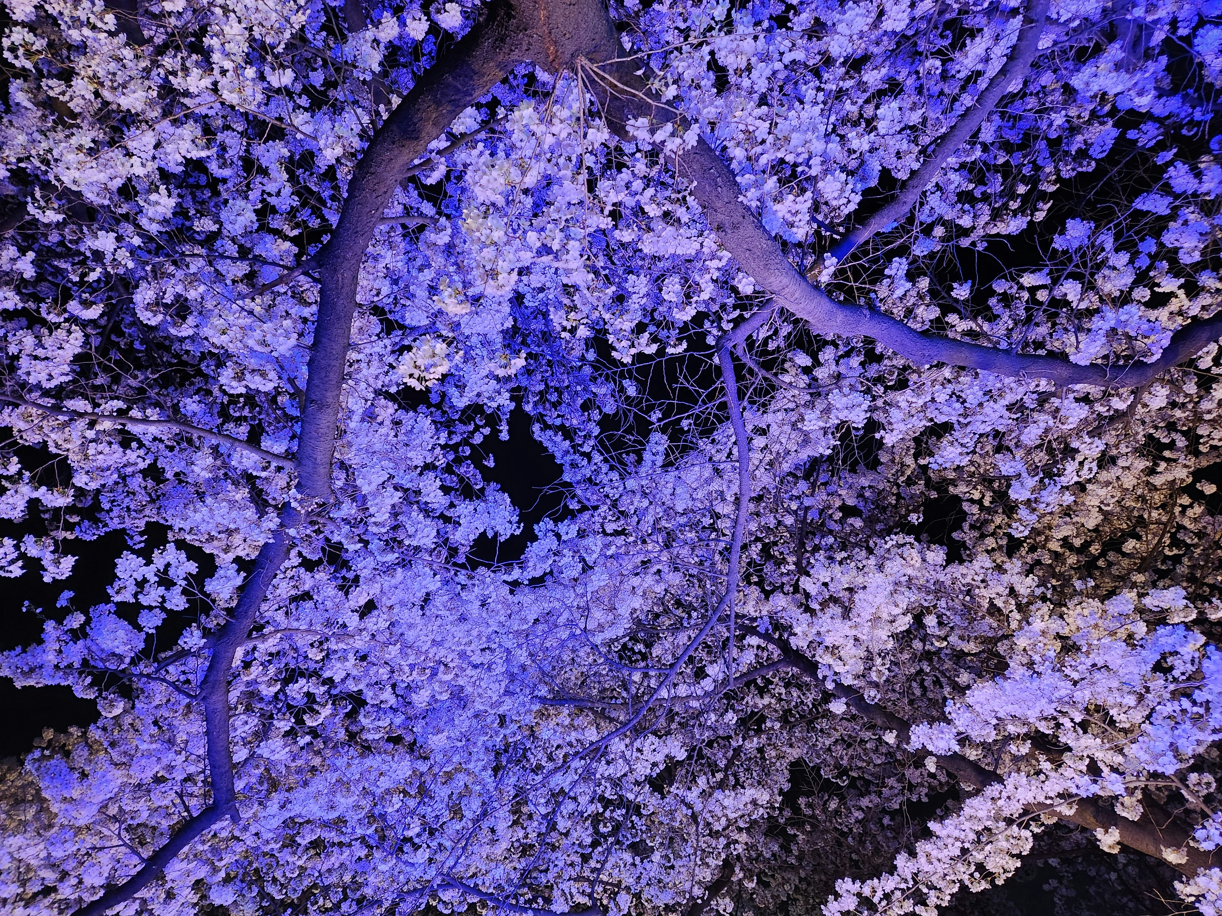 Photo by chae_won_cw