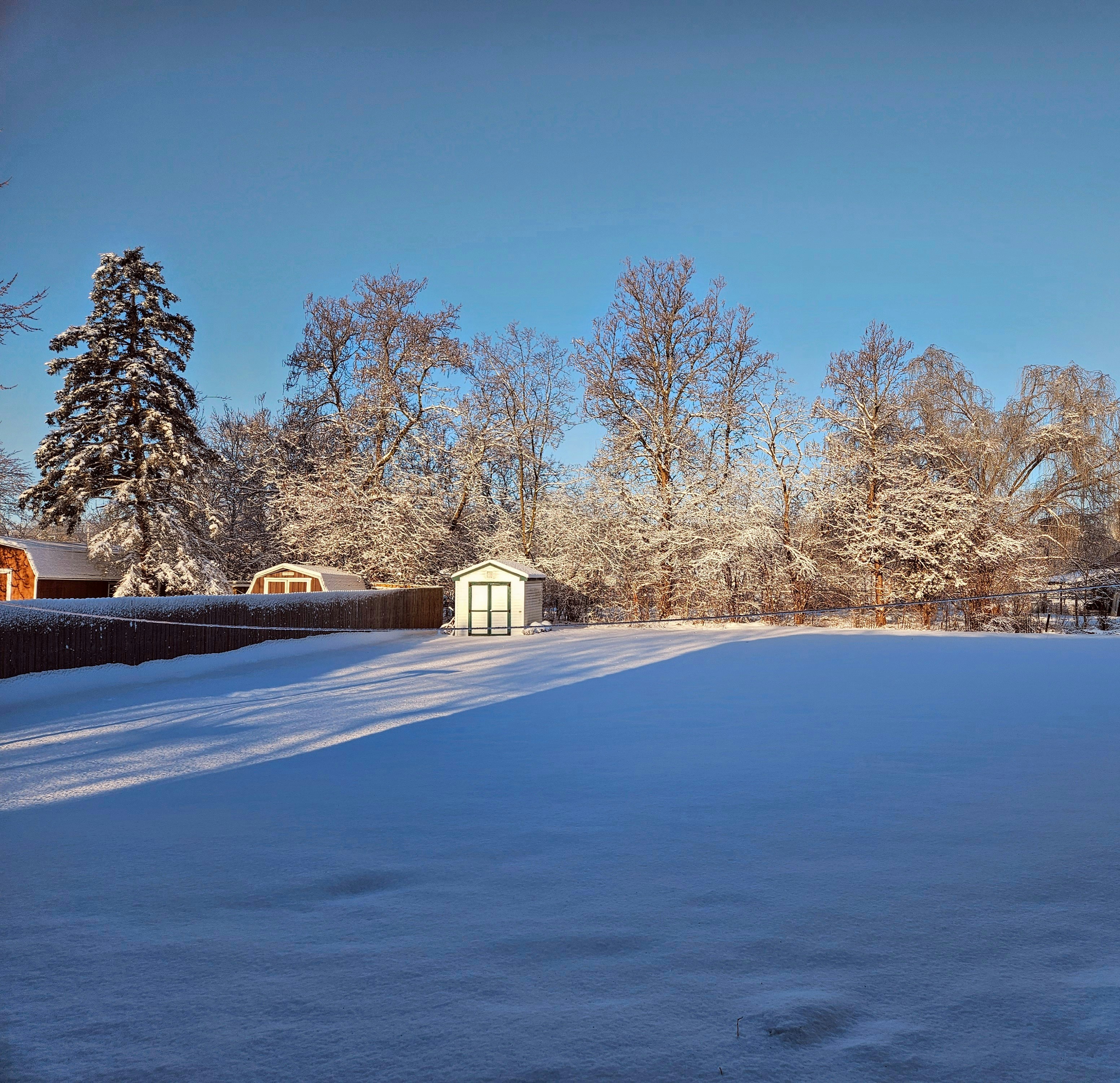 Photo by mattarnster