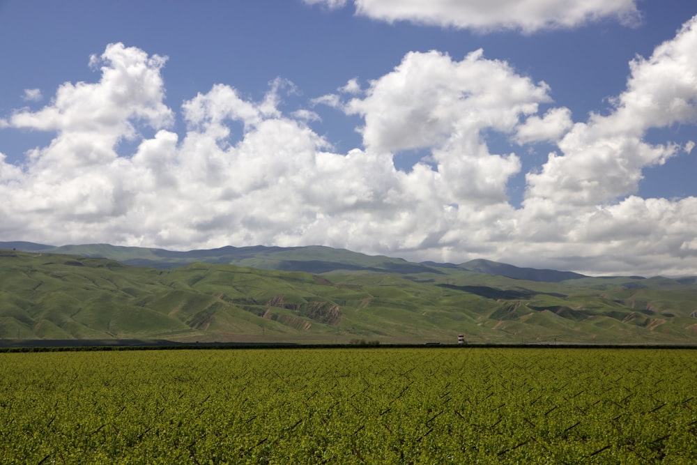 a green field with mountains in the background