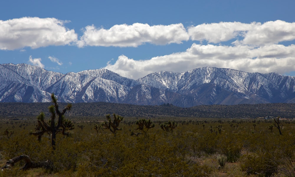 a mountain range with snow capped mountains in the distance