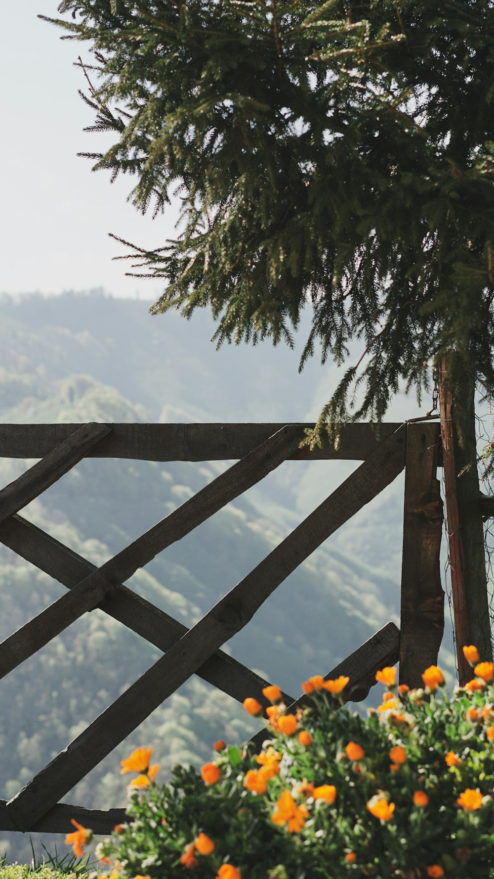 a bird perched on top of a wooden fence