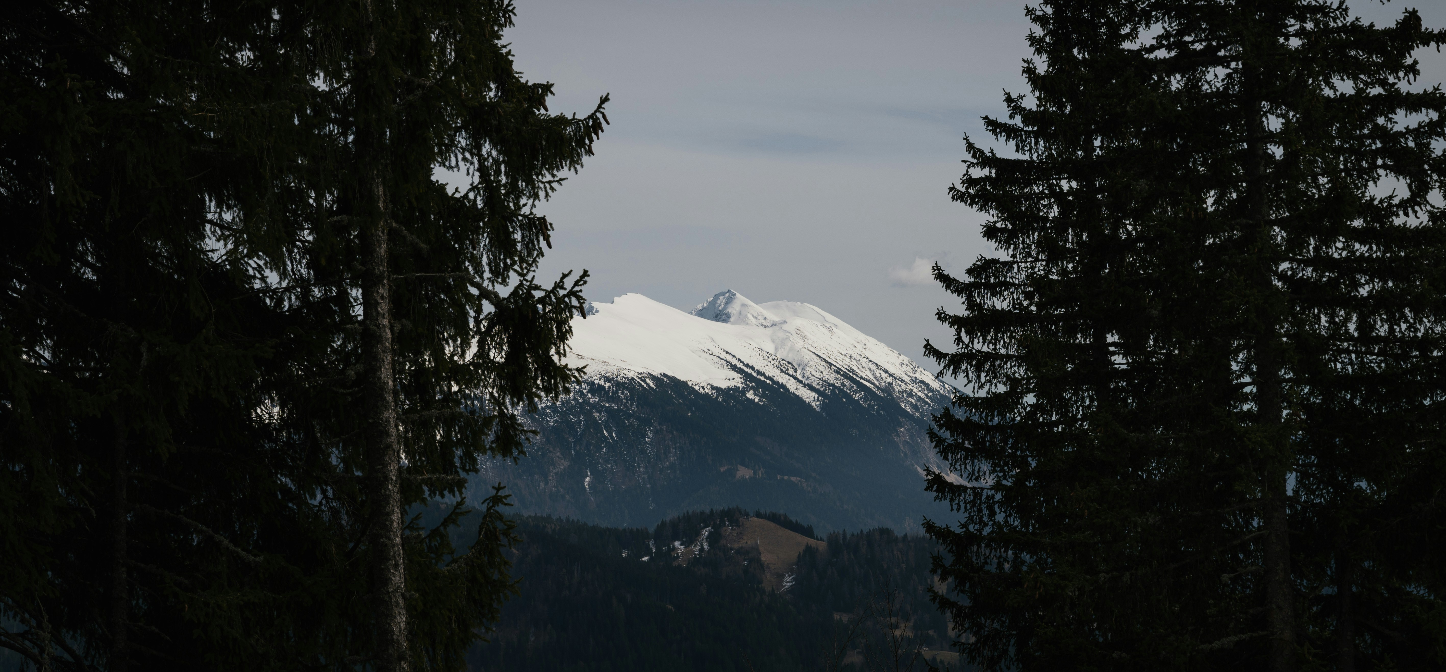 Photo by buduczki