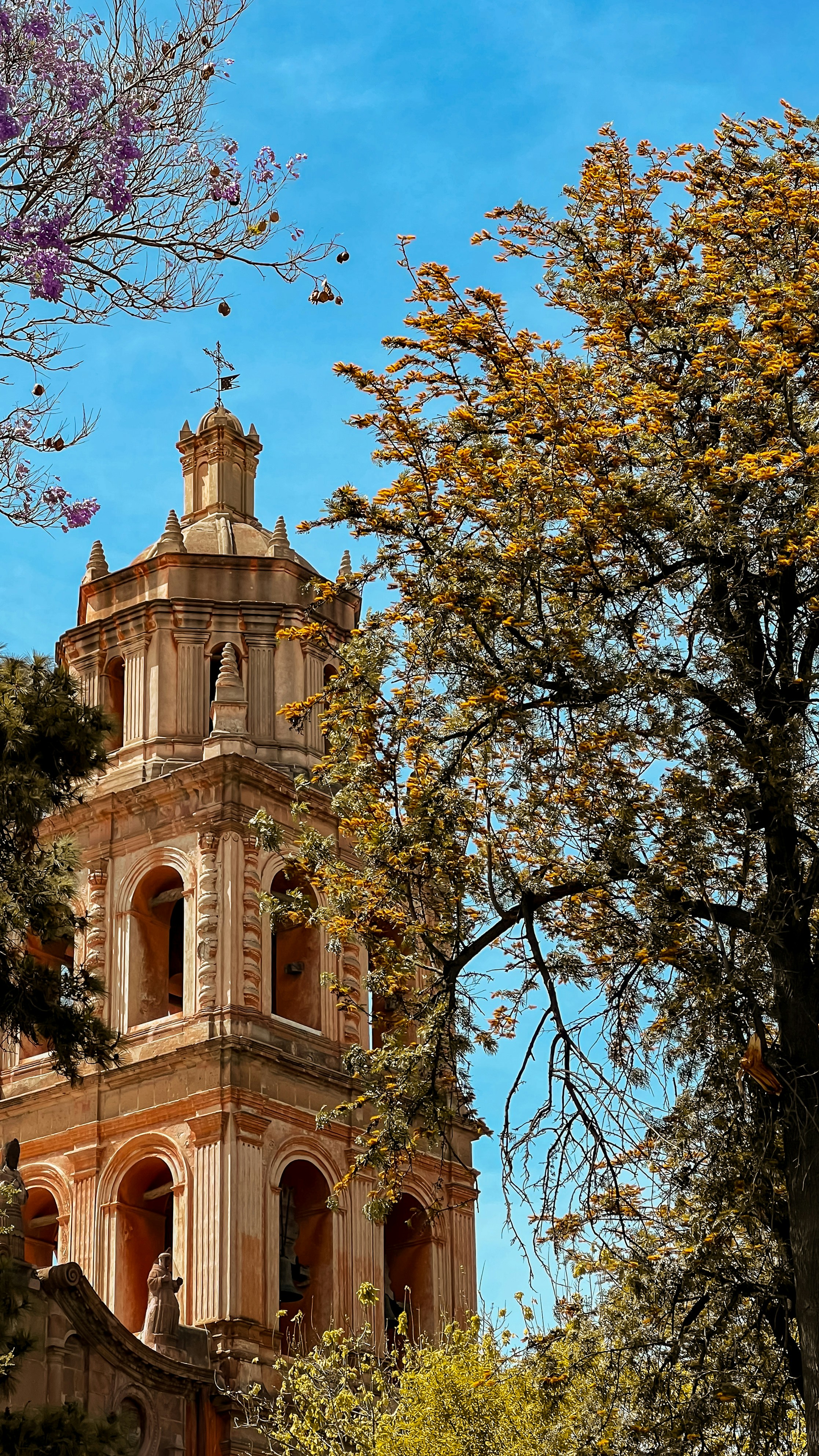 Photo by cristianortega