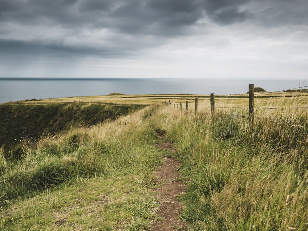 a path leading to the ocean on a cloudy day