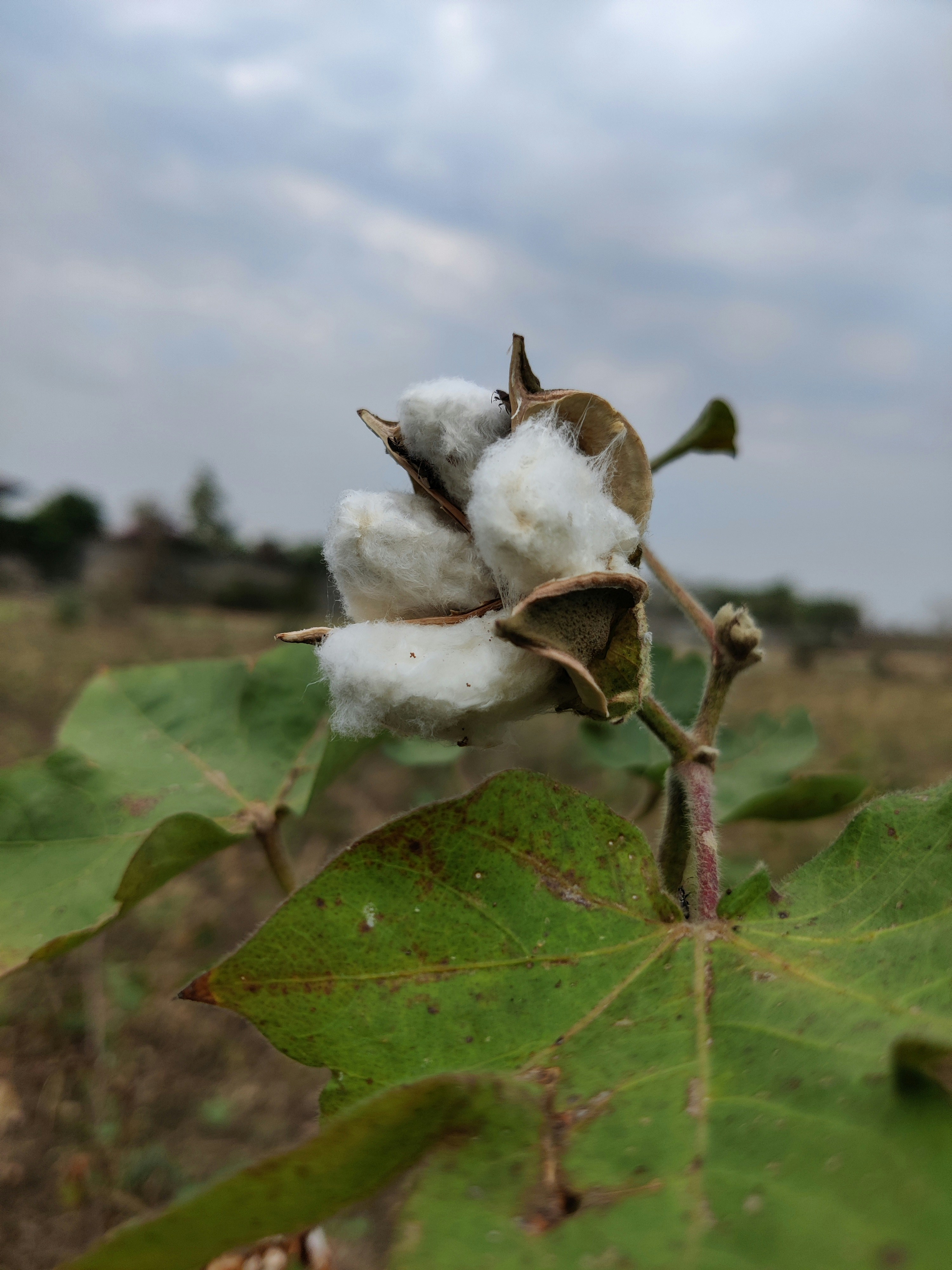 Banner image placeholder