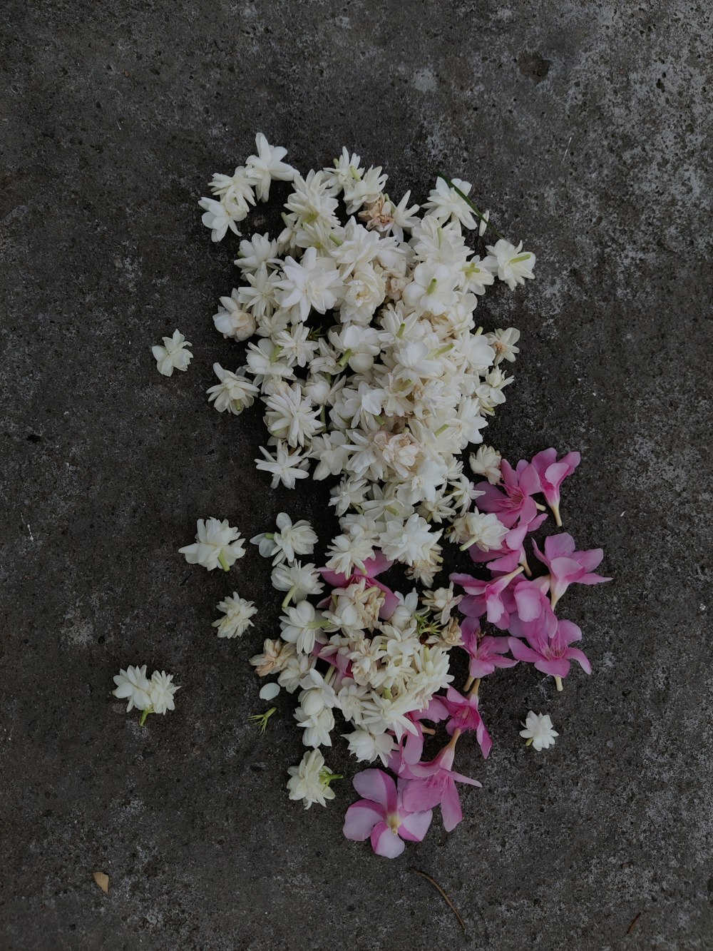 a bunch of white and pink flowers laying on the ground