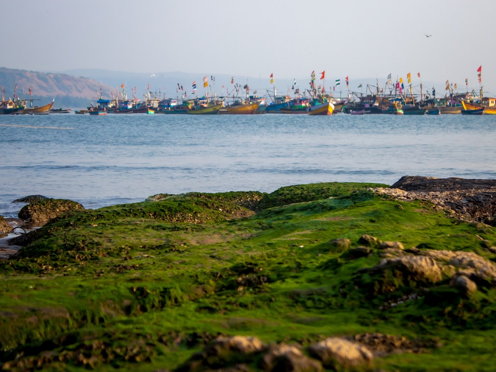 a large body of water filled with lots of boats