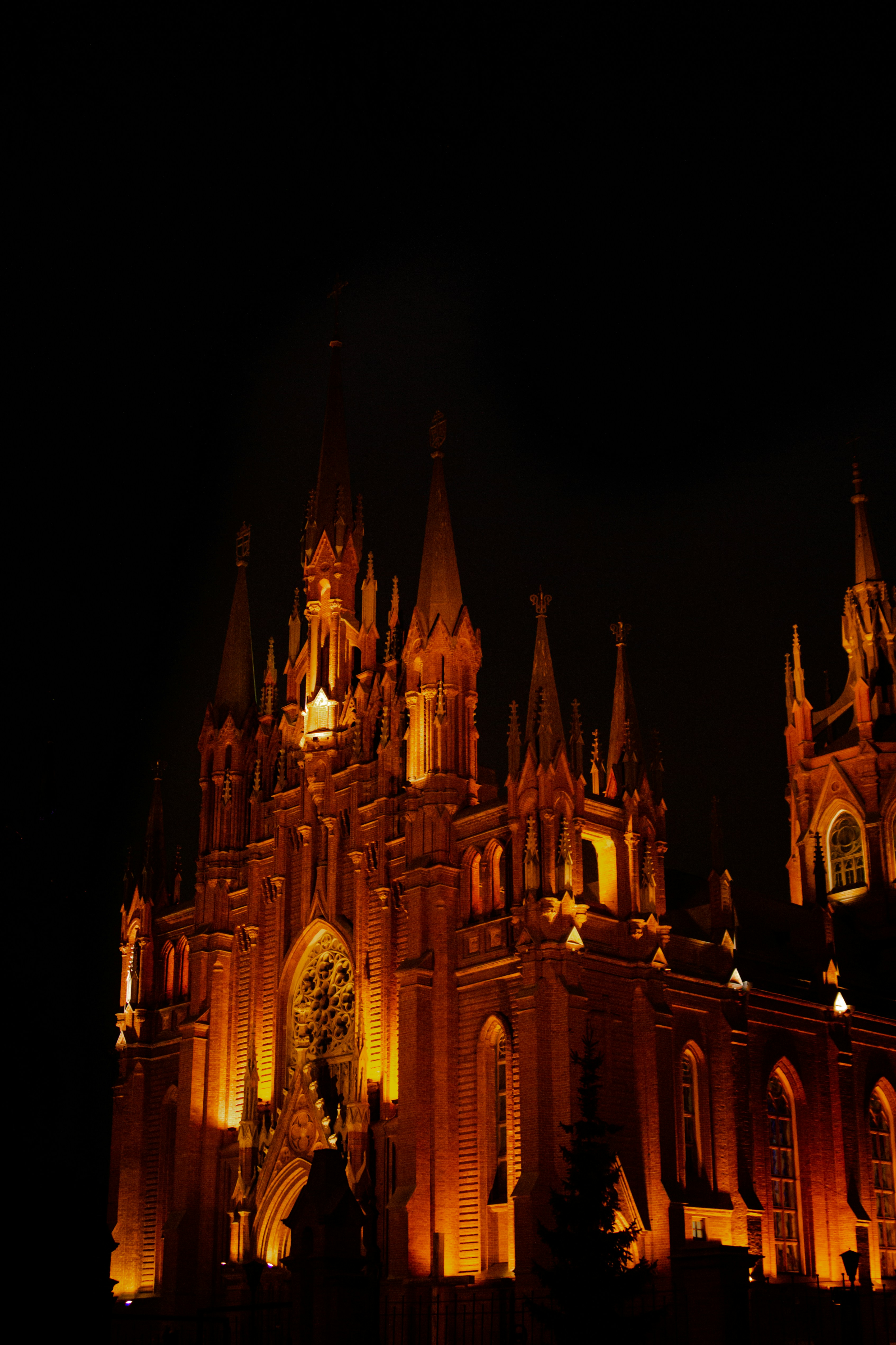 Photo by sam_badmaeva