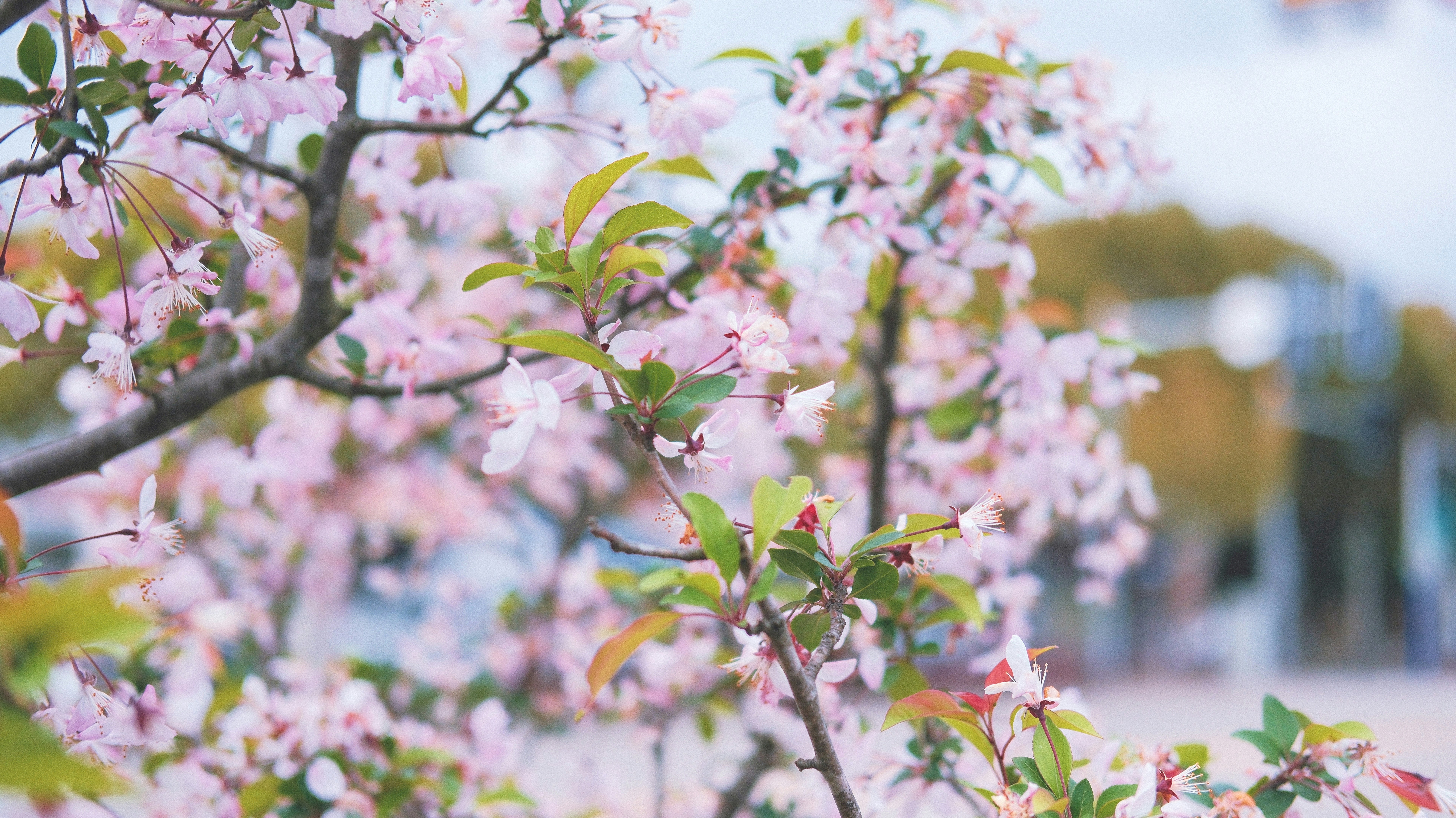 Photo by leo_gilgamesh