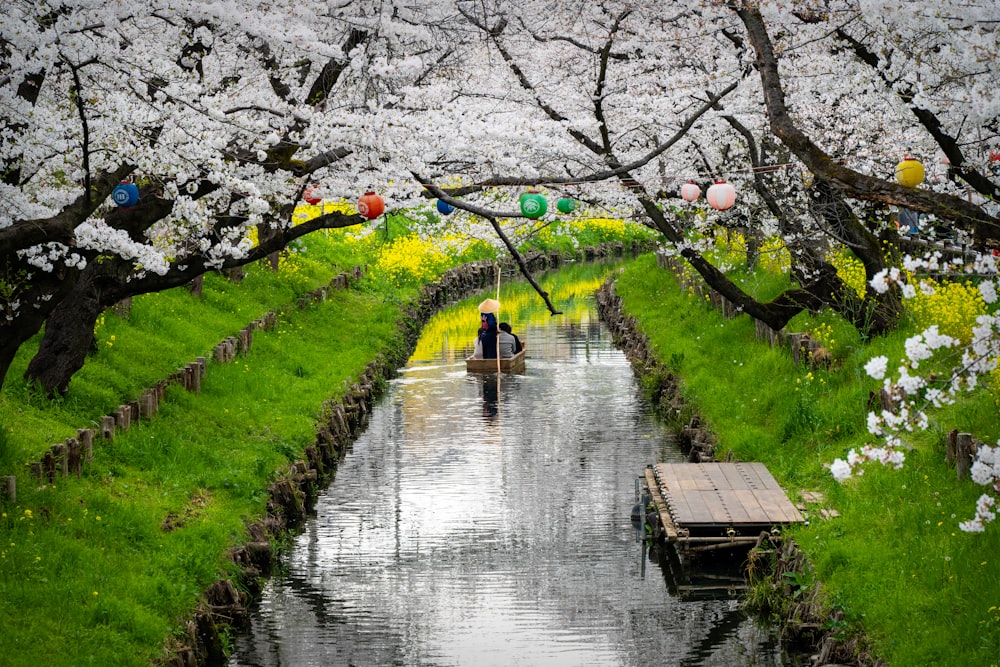 a man is standing in a canal surrounded by trees